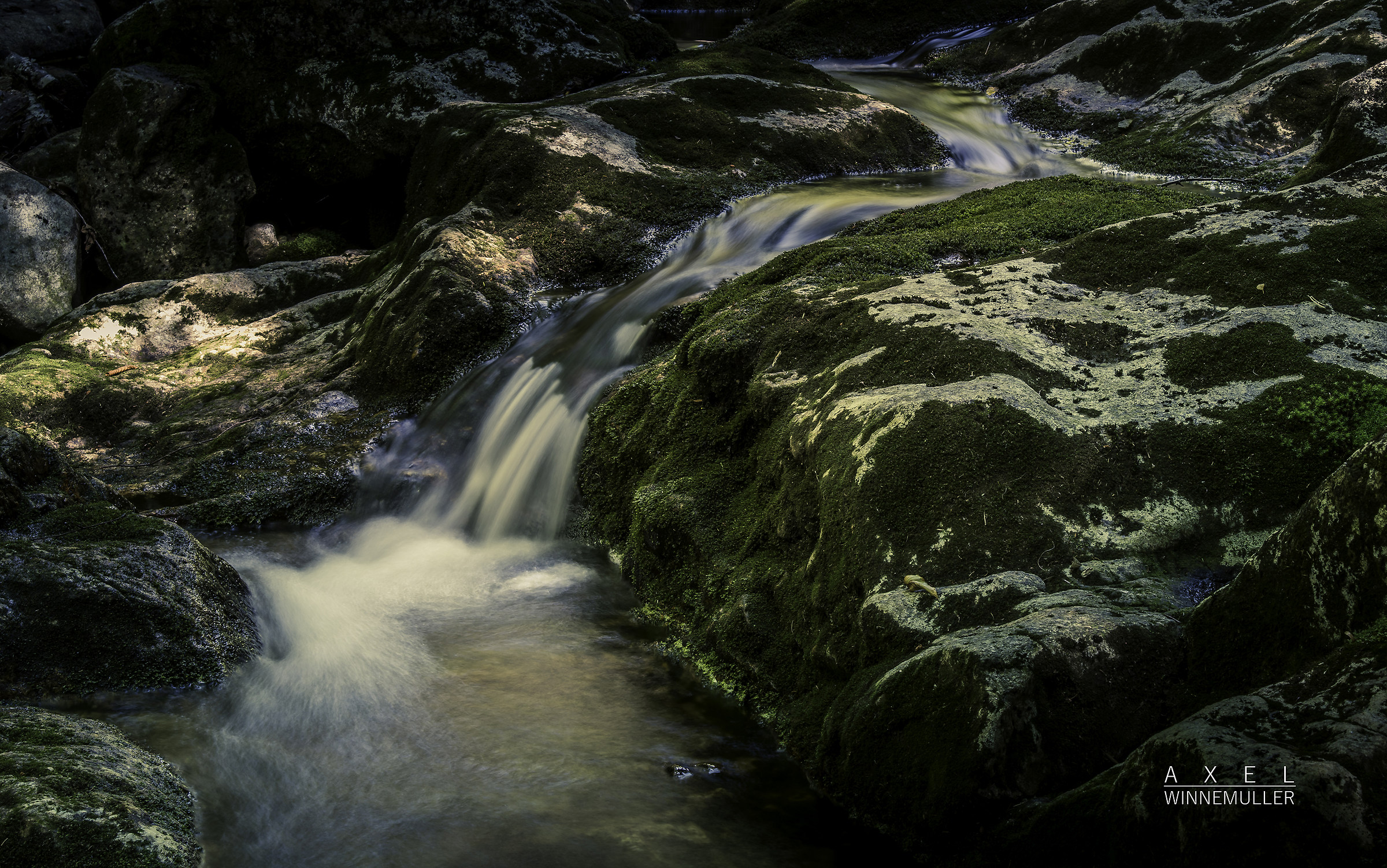 Mt Pearce, Montagne Bianche, New Hampshire, USA