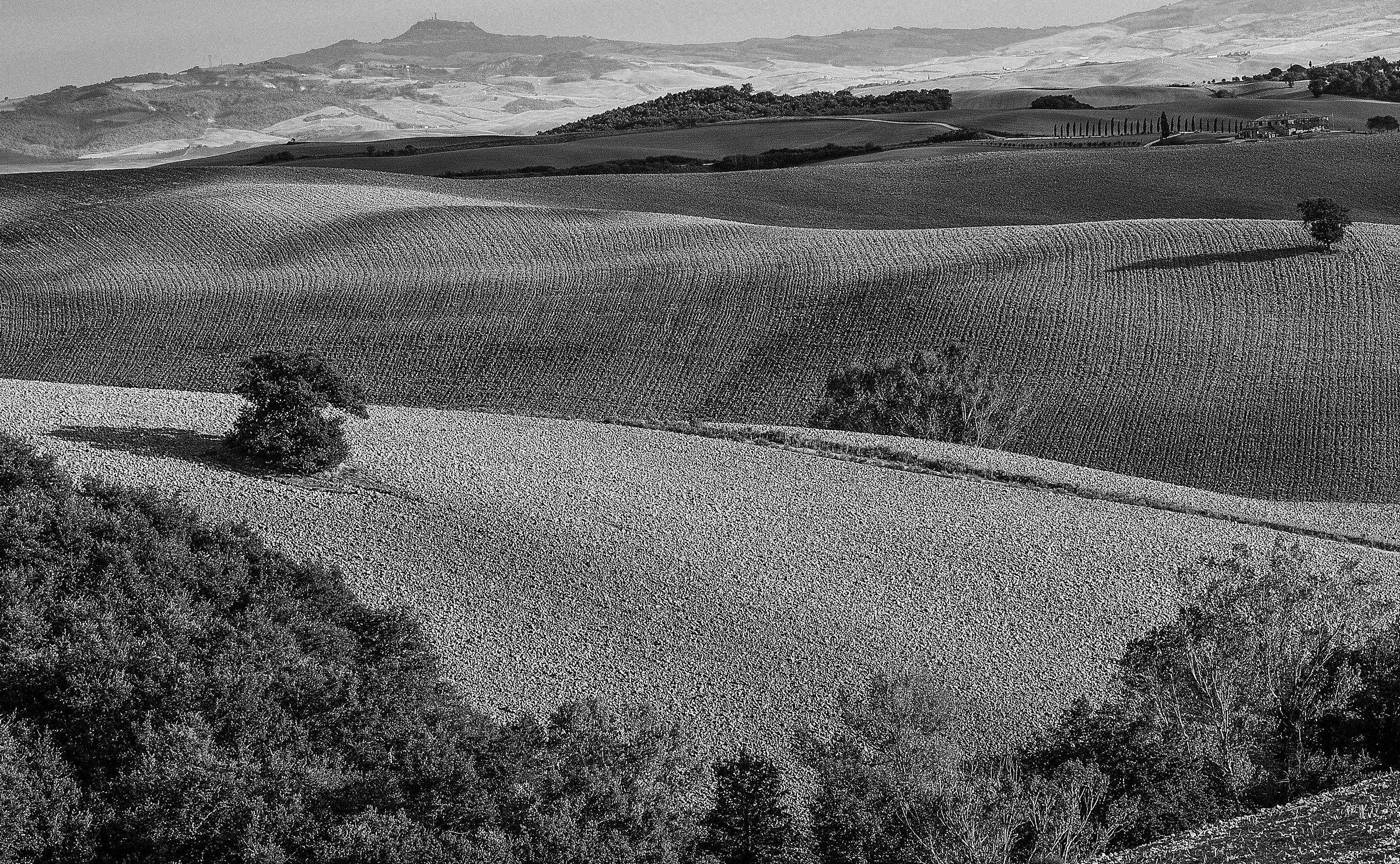 Tuscany-Val d'Orcia "combed"
