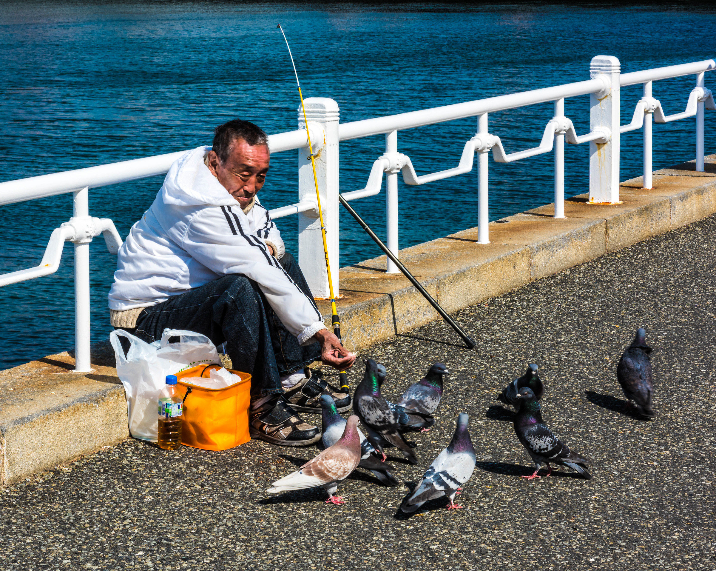 Giappone 2017 - Yokohama, Porto