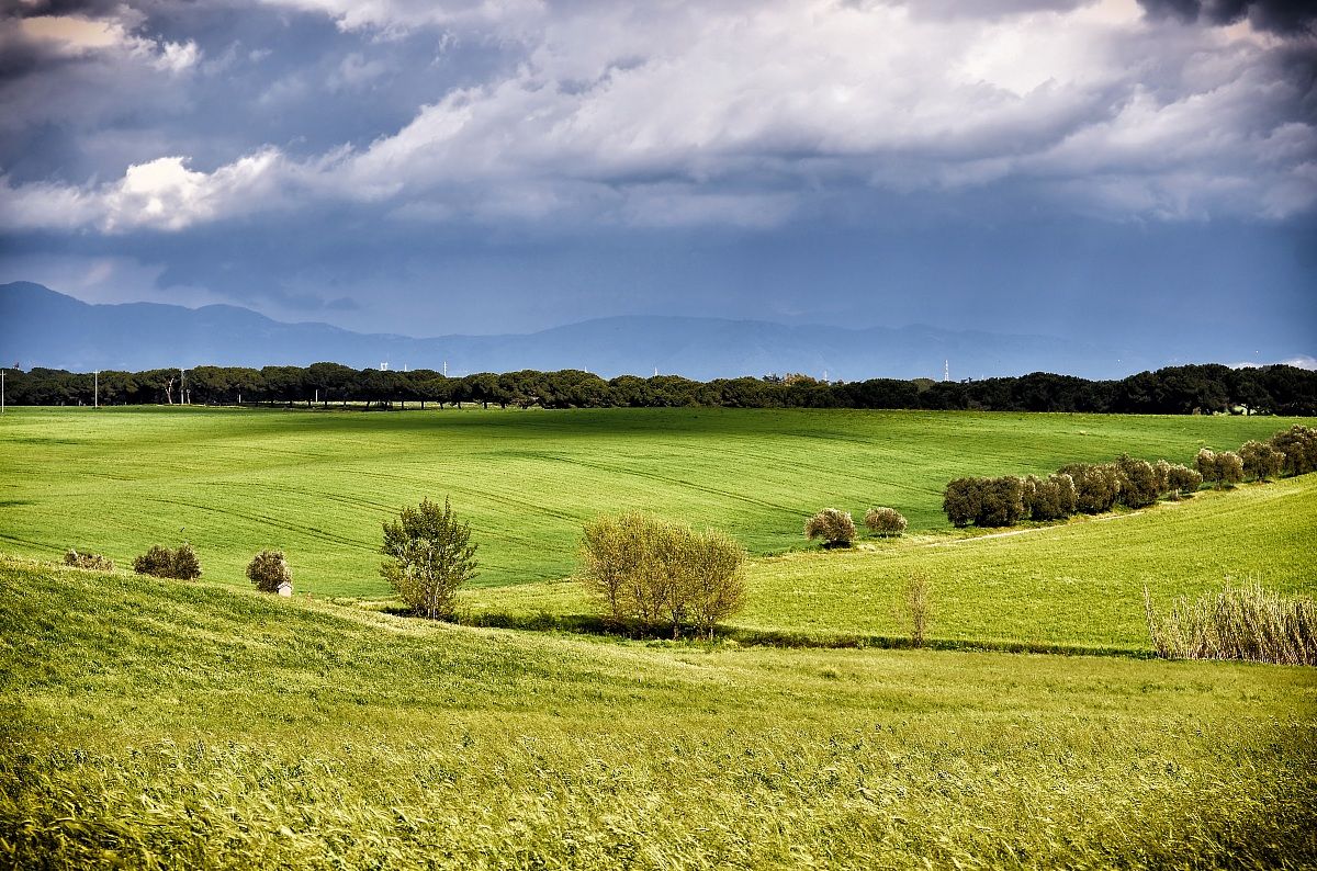 Riserva Naturale della Marcigliana