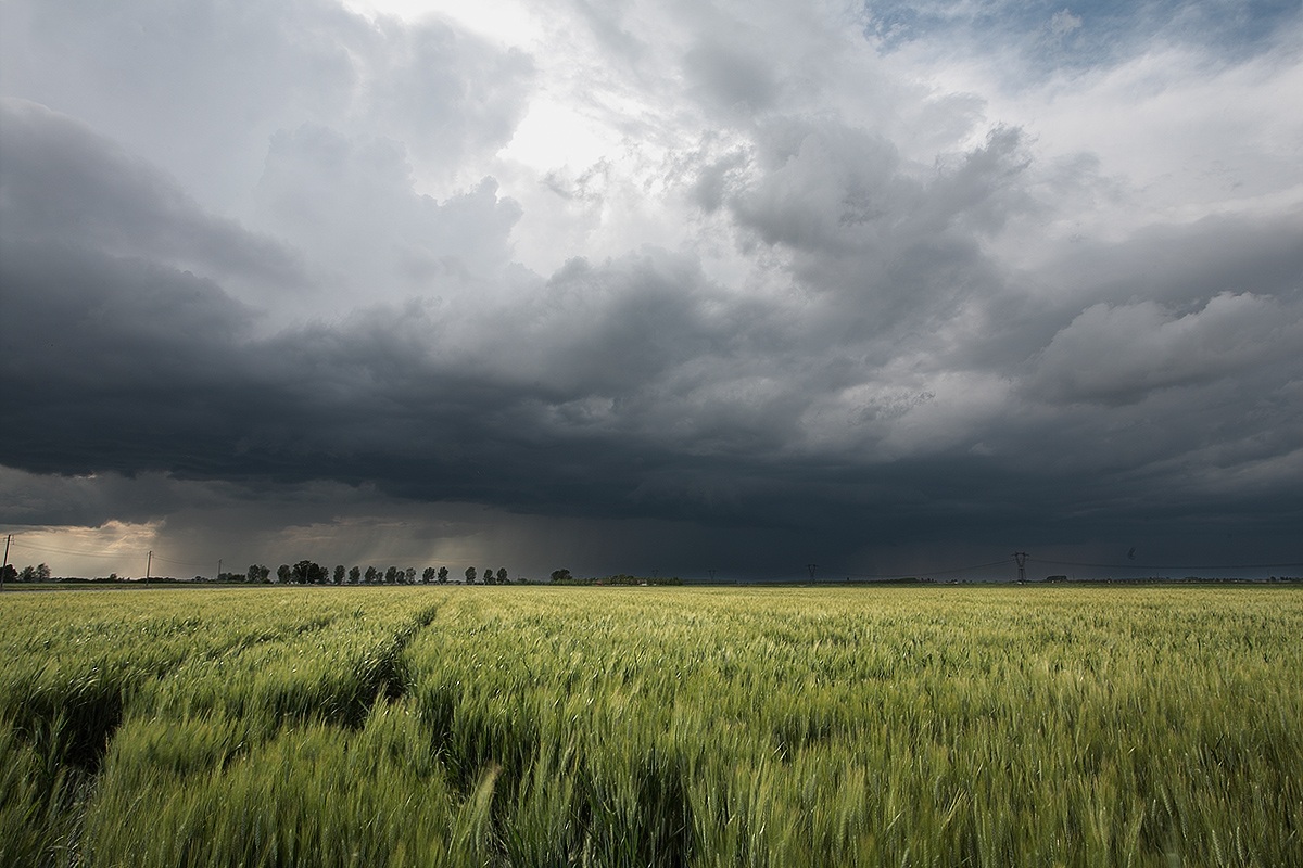 Tempesta in arrivo