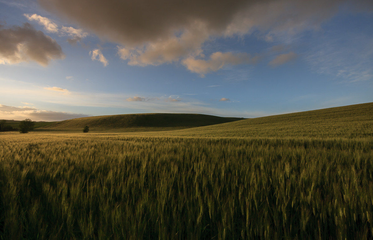 A step from the sunset ...