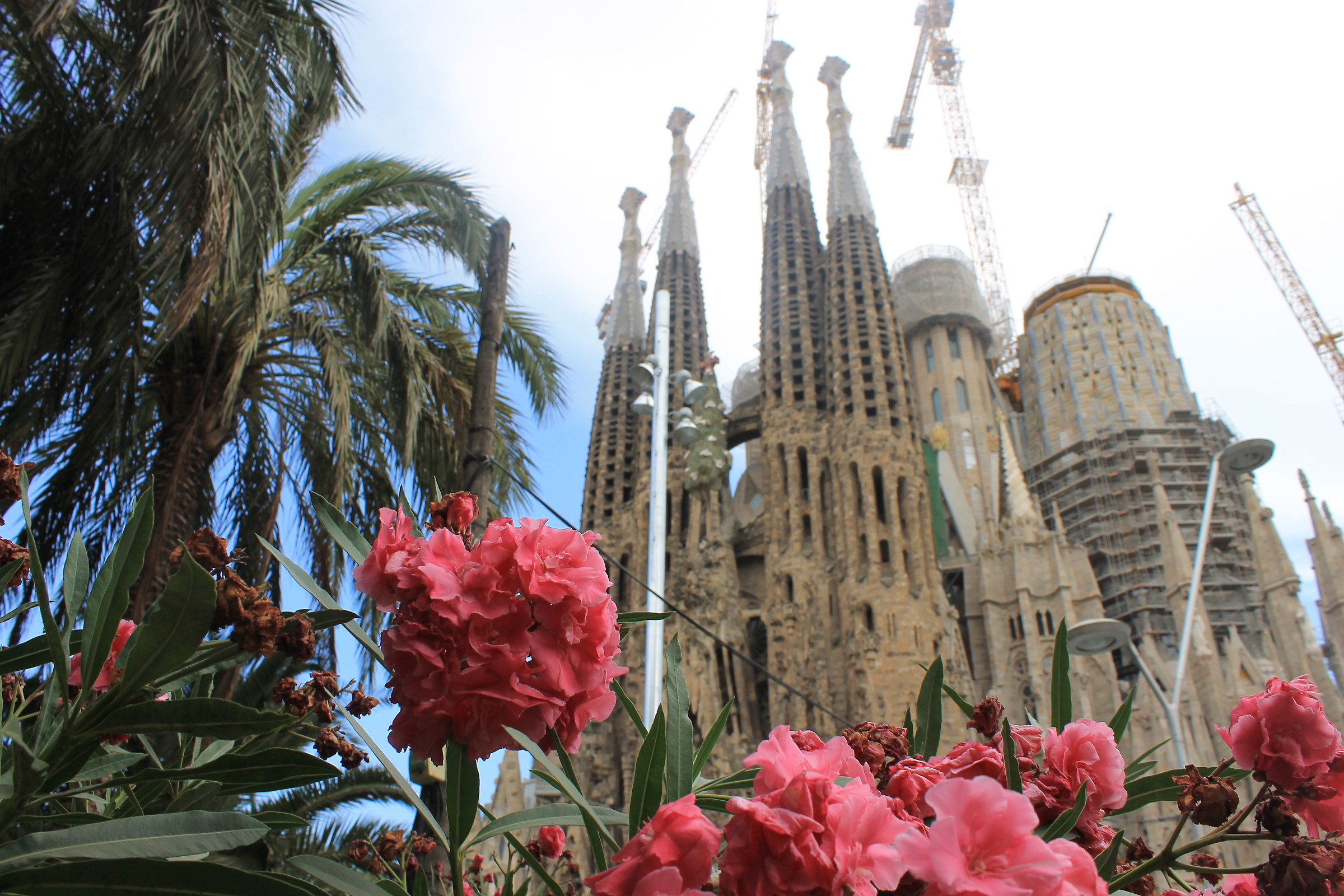 Sagrada Familia