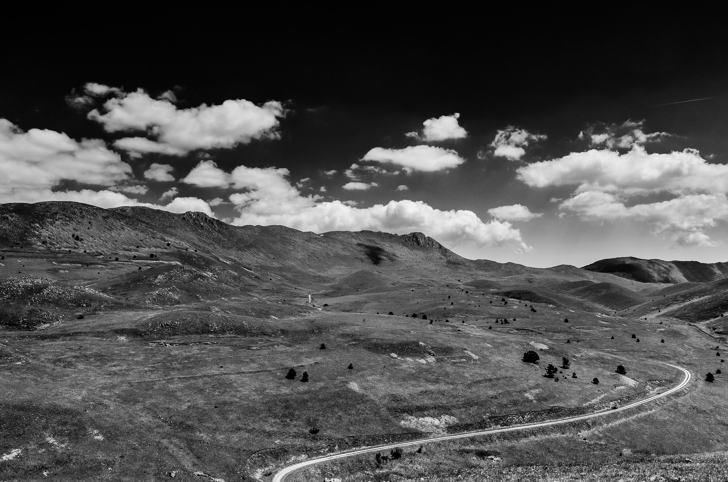 Black and White Emperor Field 1