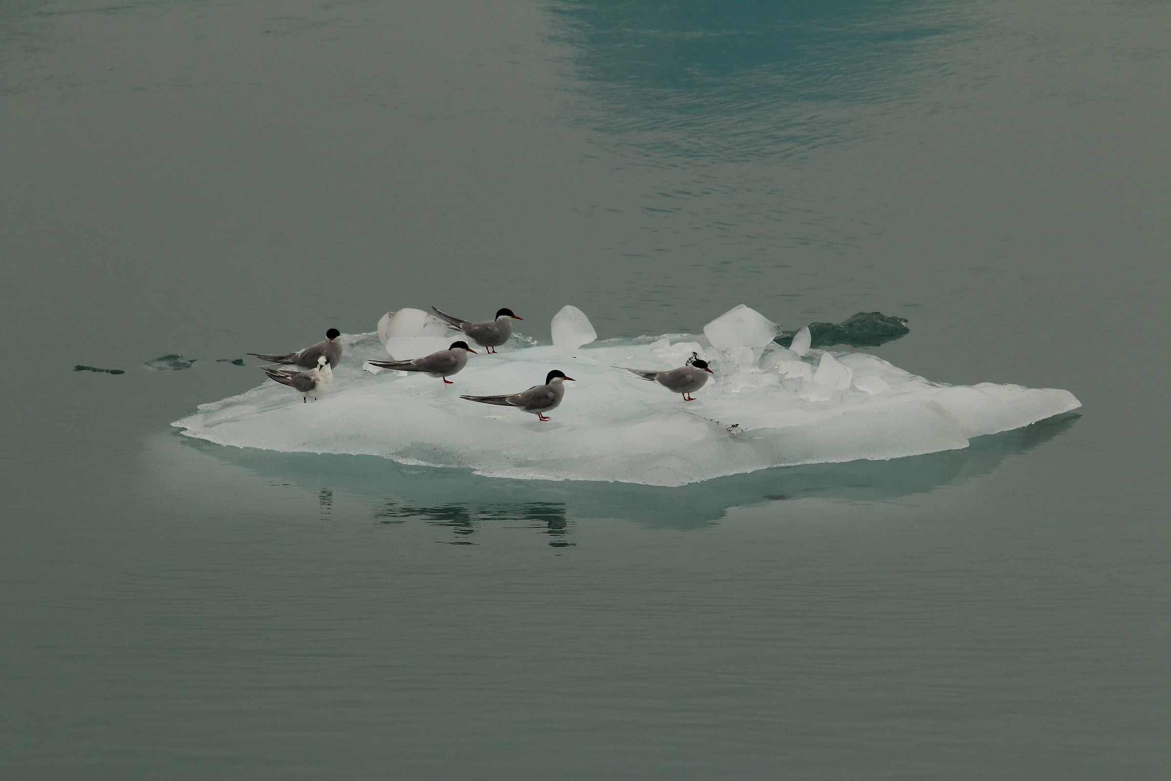 As long as the boat goes ...