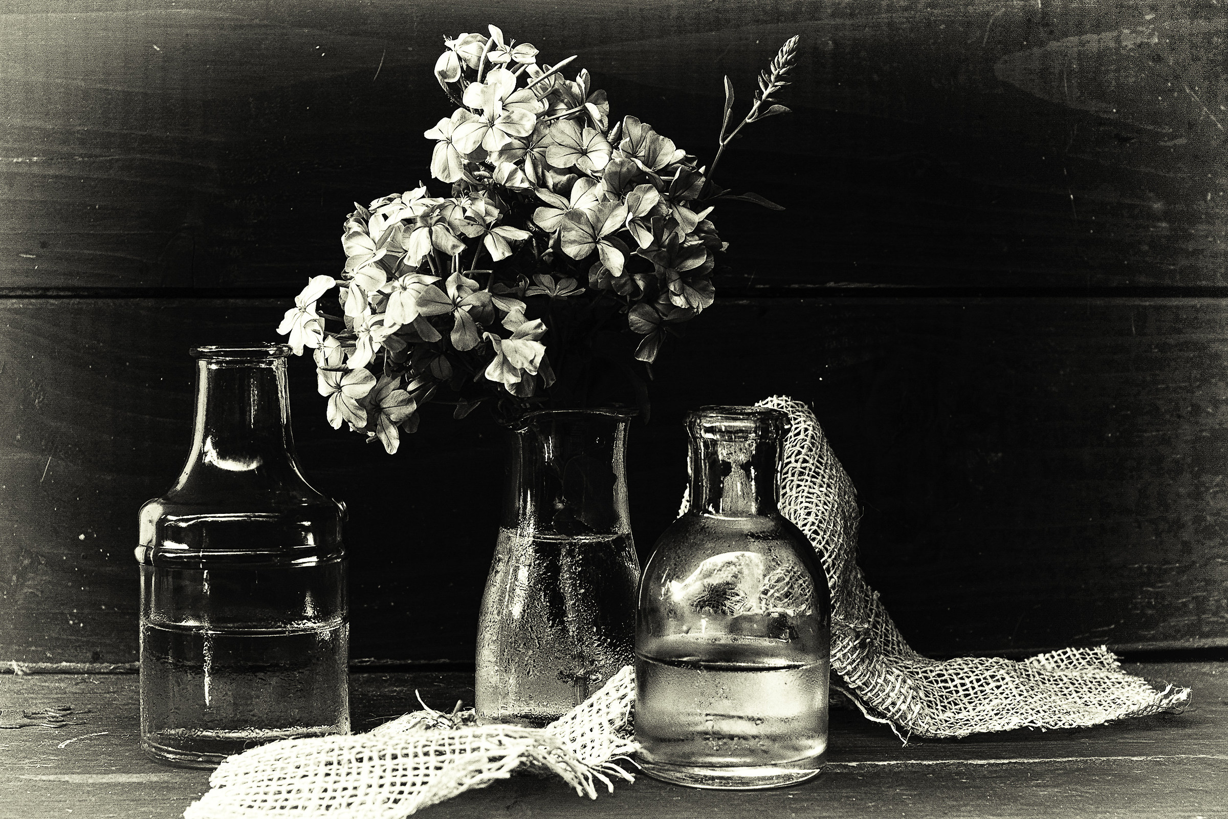 .. flowers ...