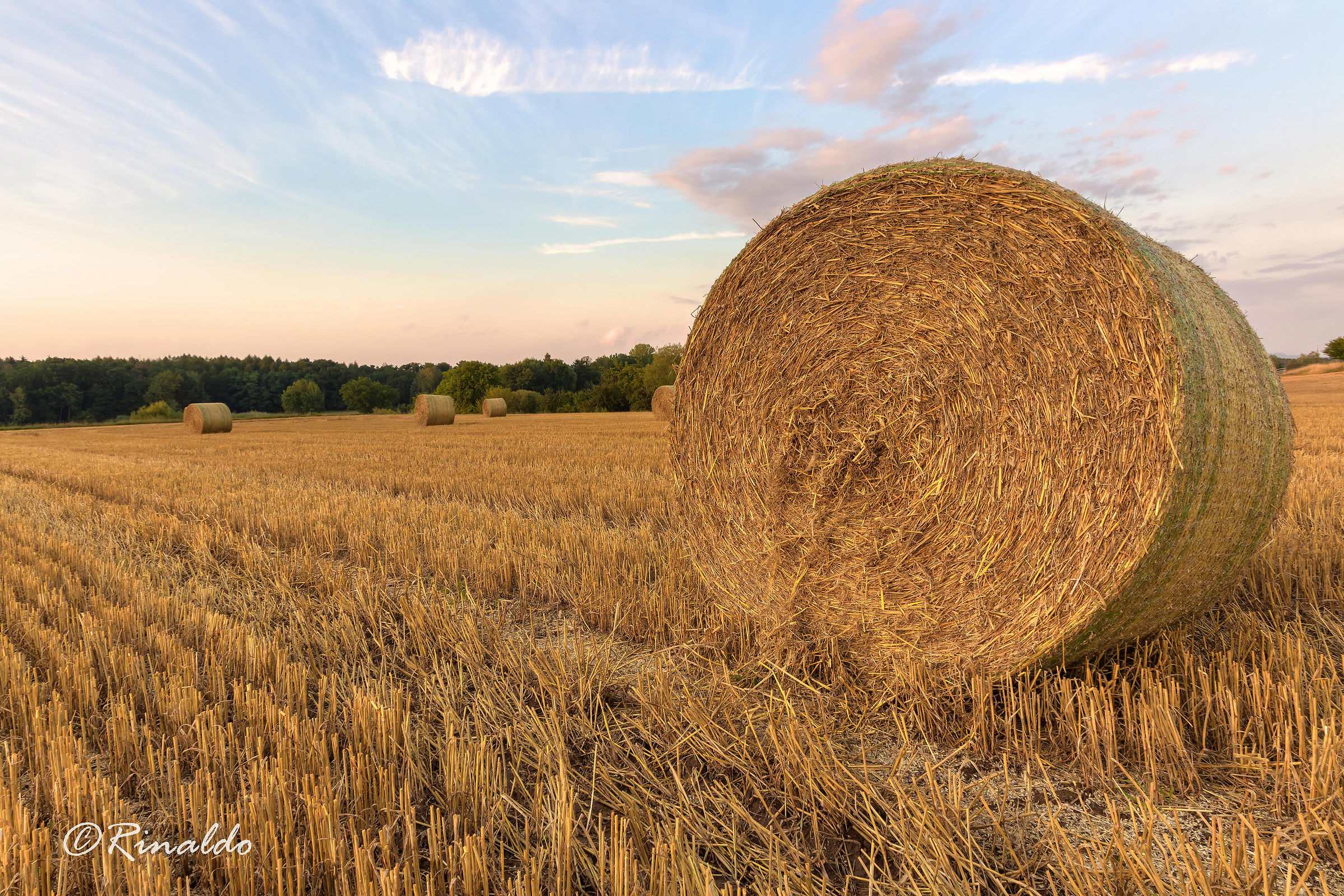 Dopo il comizio un mare di balle