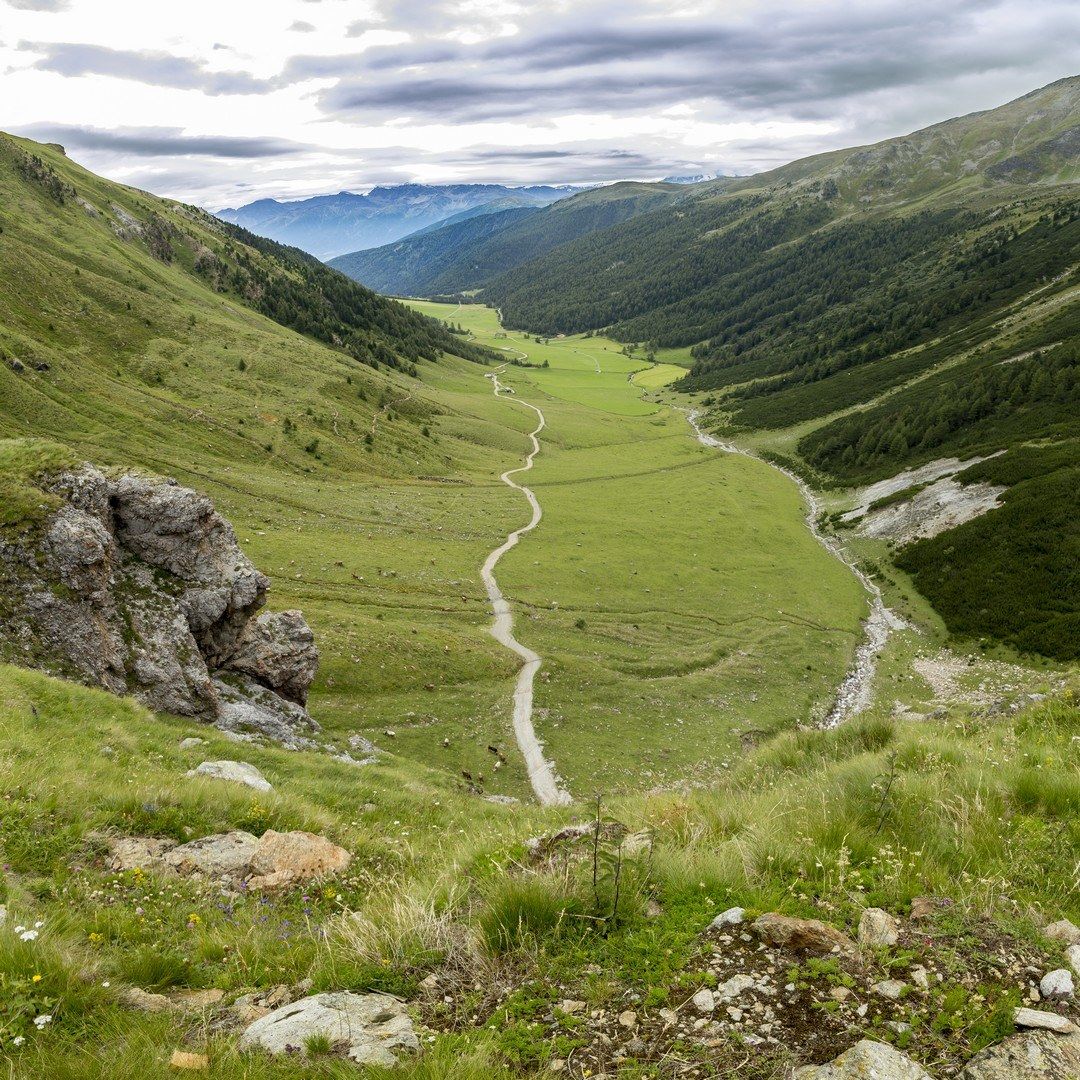 How was my valley green