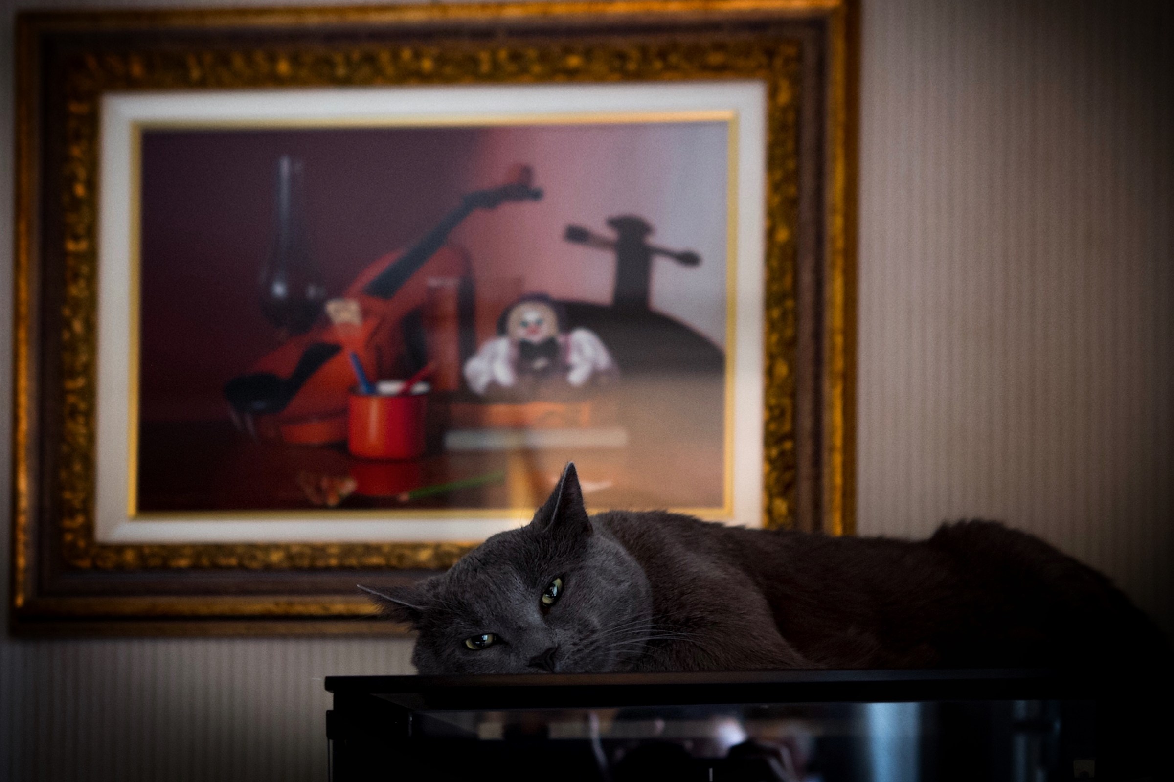 Jack riposa su un vecchio Hi-Fi-