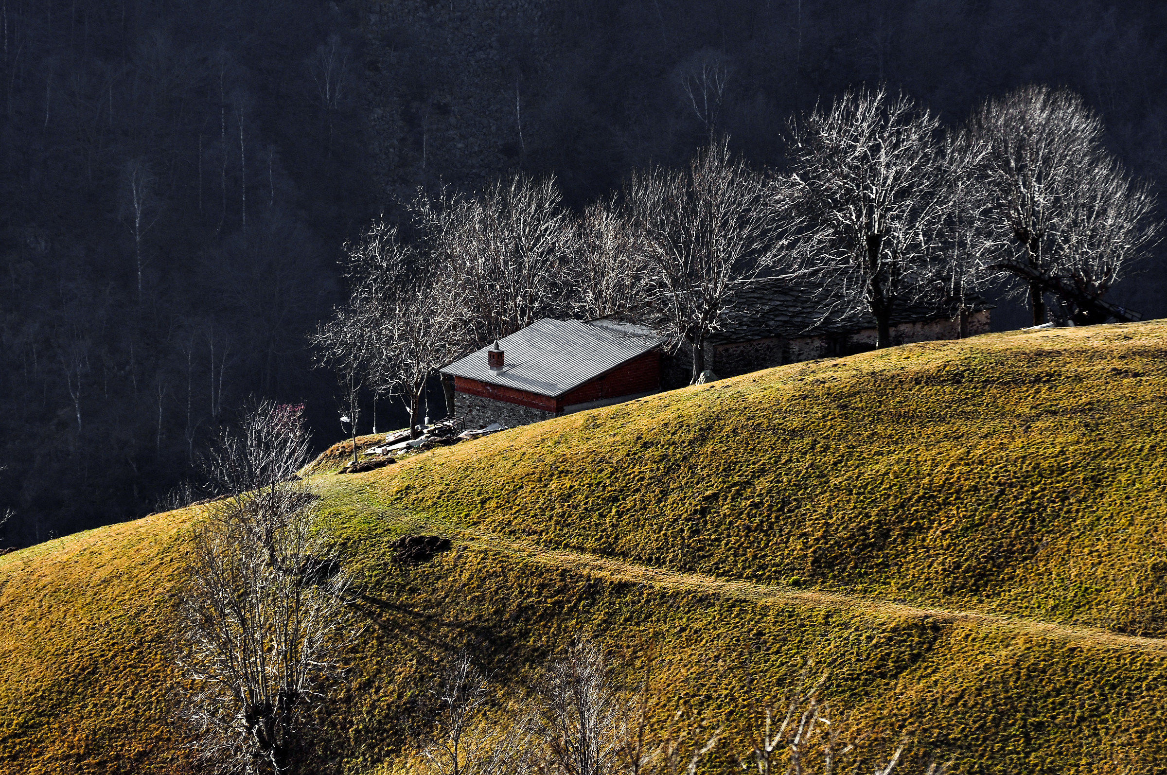 Alpi Biellesi Le Salvine Dic 2011