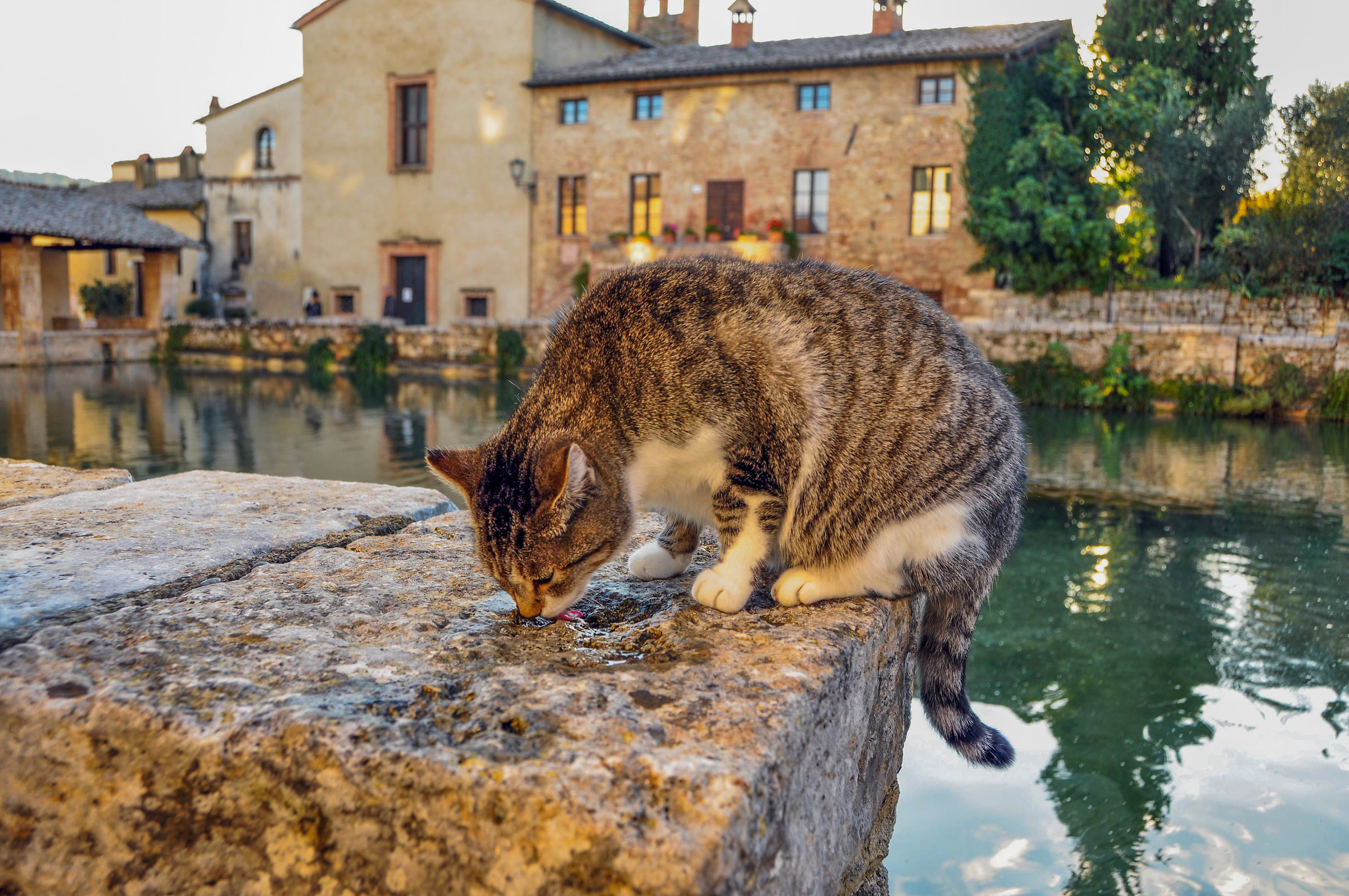 Bagni Vignone Ott 2011