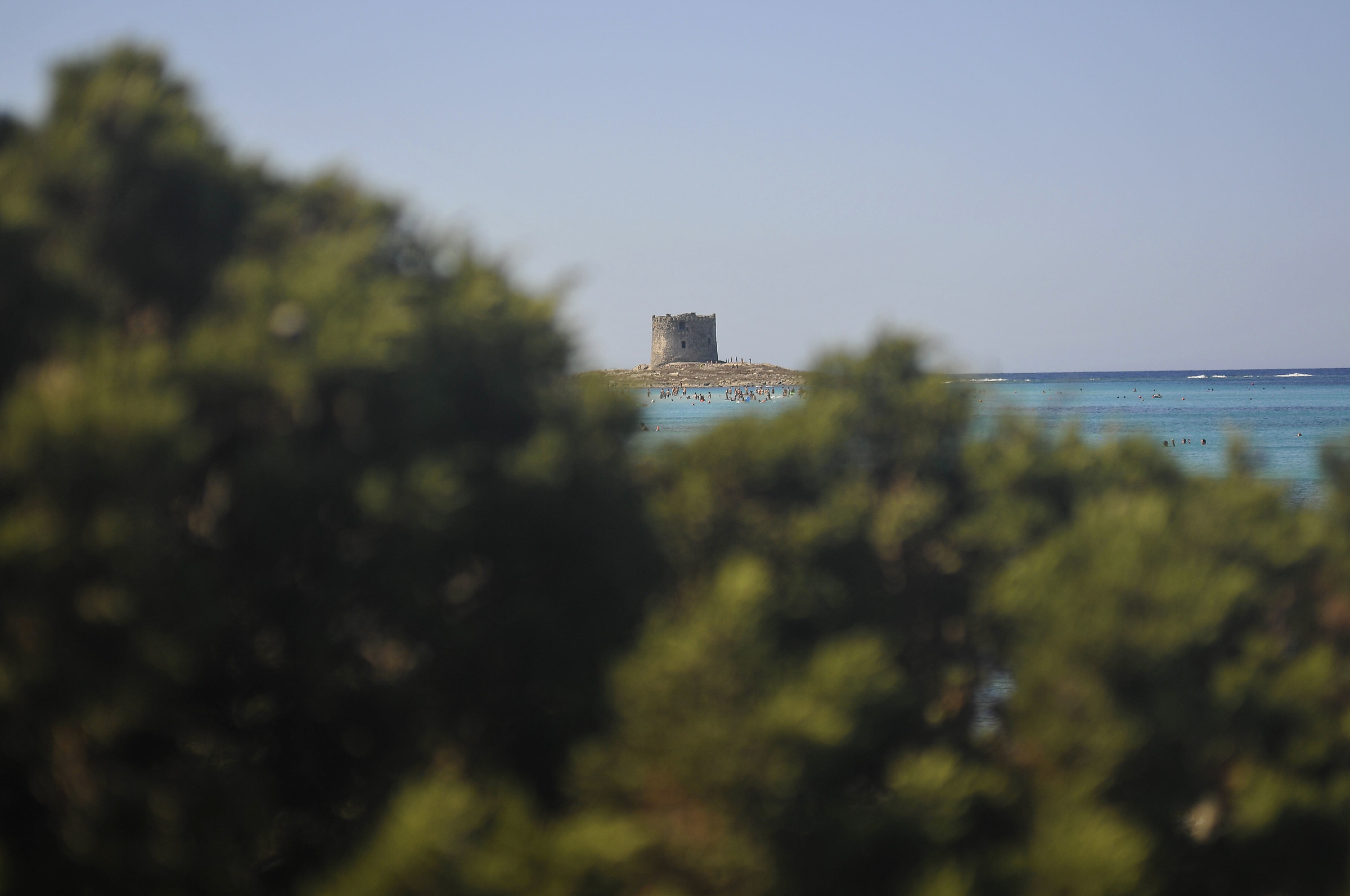 The Queen of the Pelosa