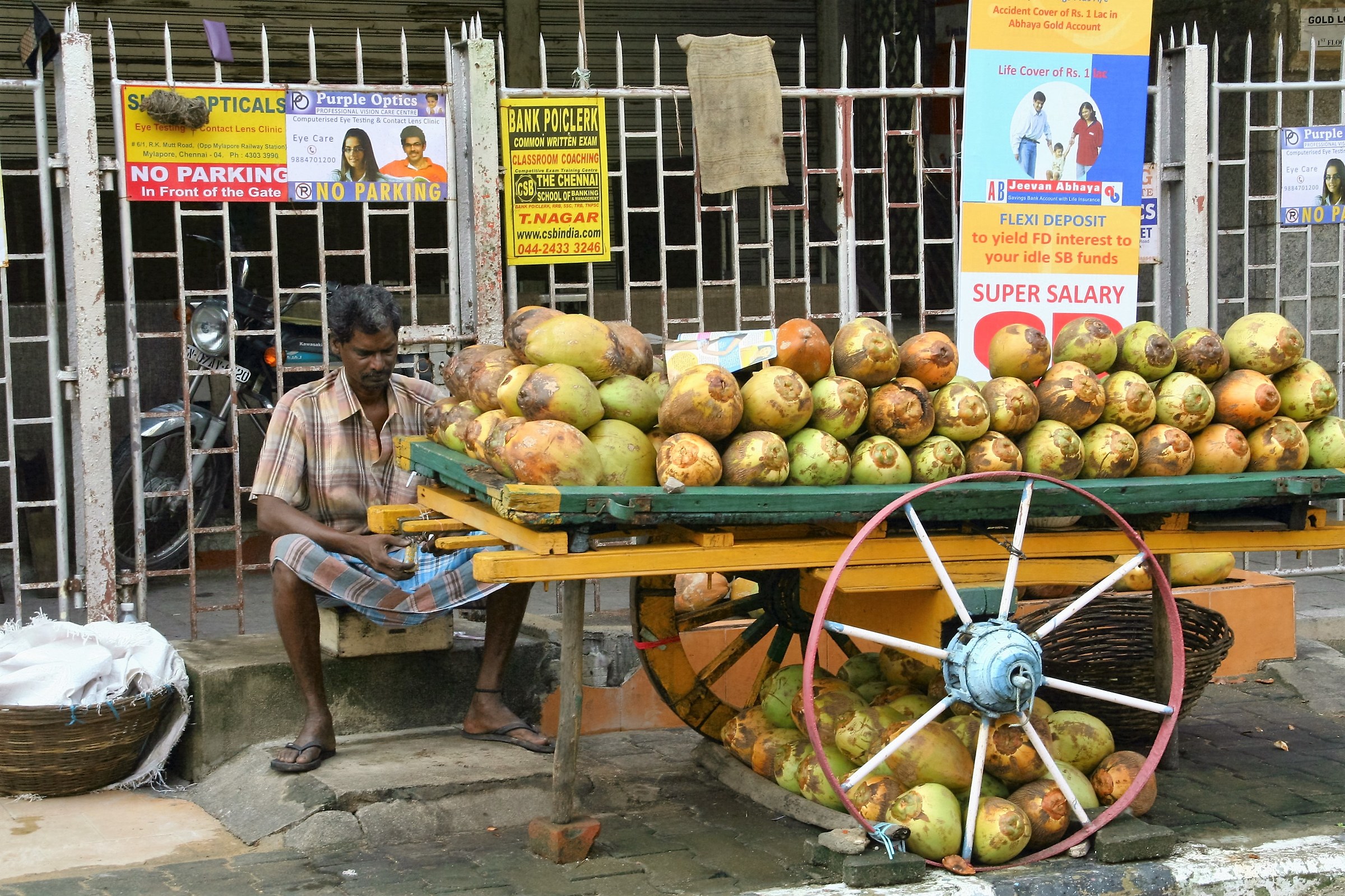 Coconut seller