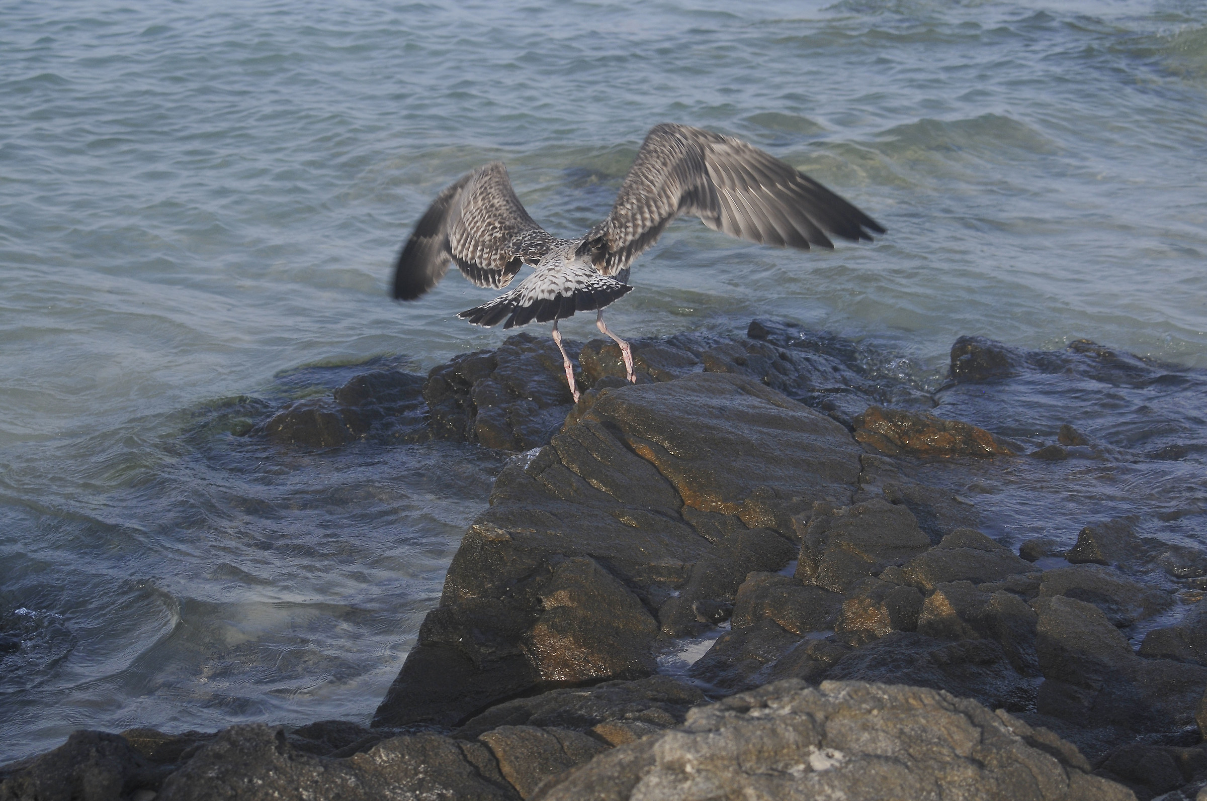 A slight push and up in the sky