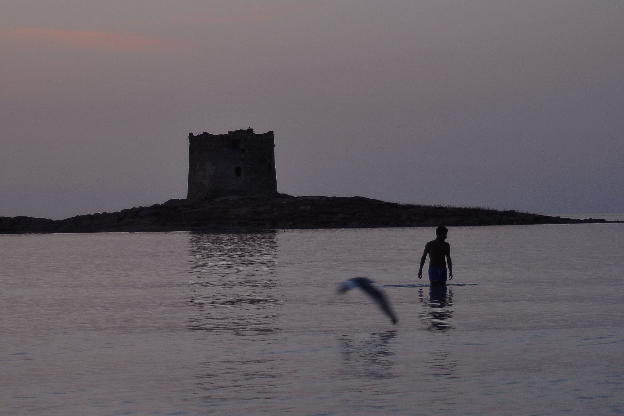 A tower, a man and a gull at dusk