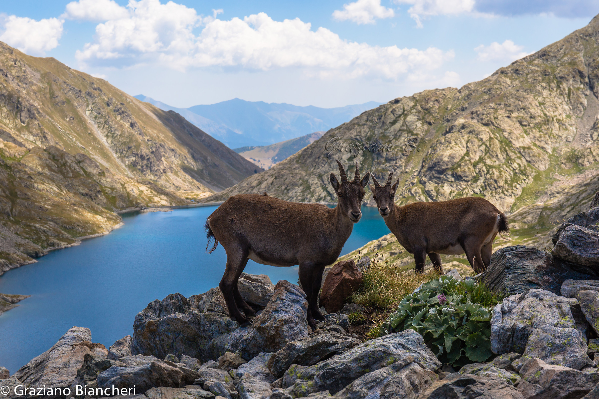 I guardiani del lago