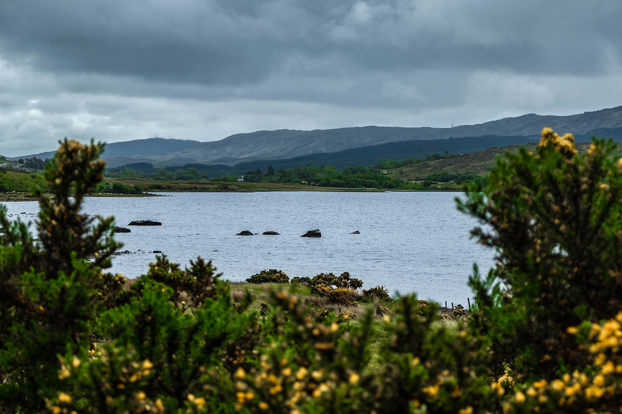 Connemara | 2