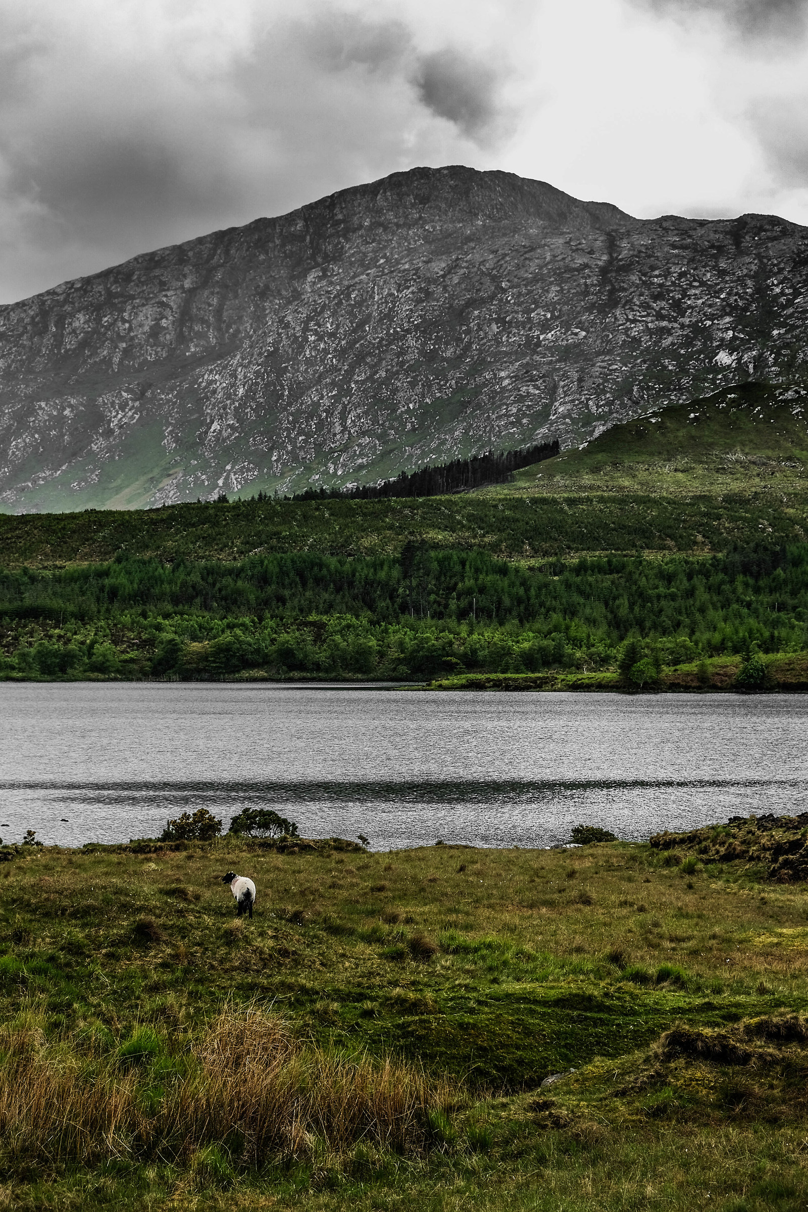 Connemara | 5