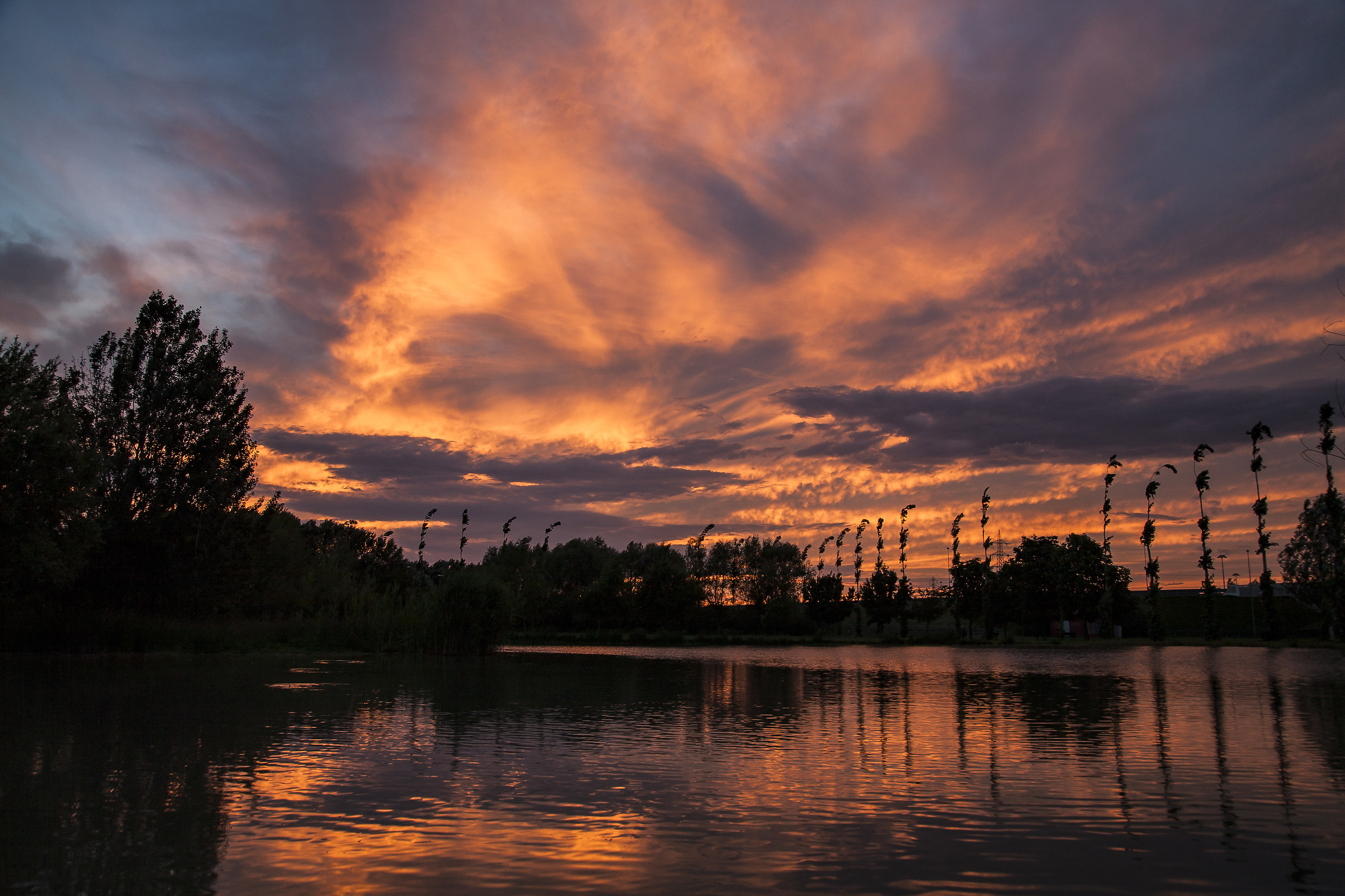 Sunset (Calatrava Bridges)