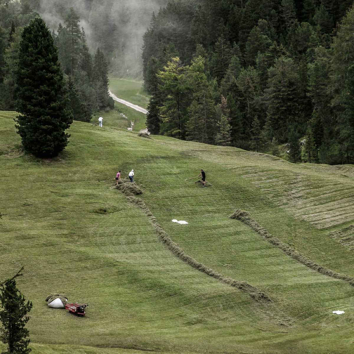 Work on the mountains
