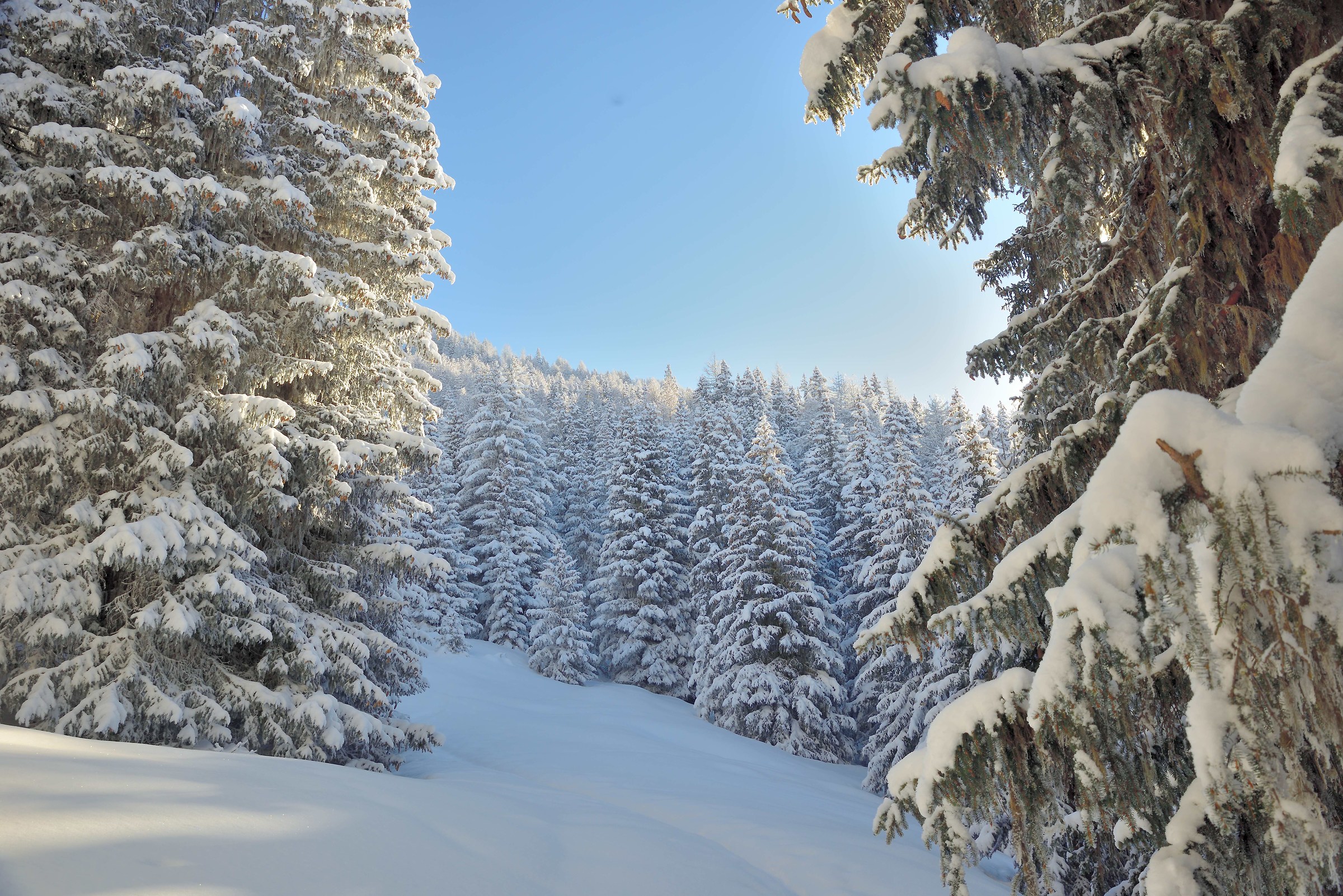 Tracked Challancin-Court de Bard