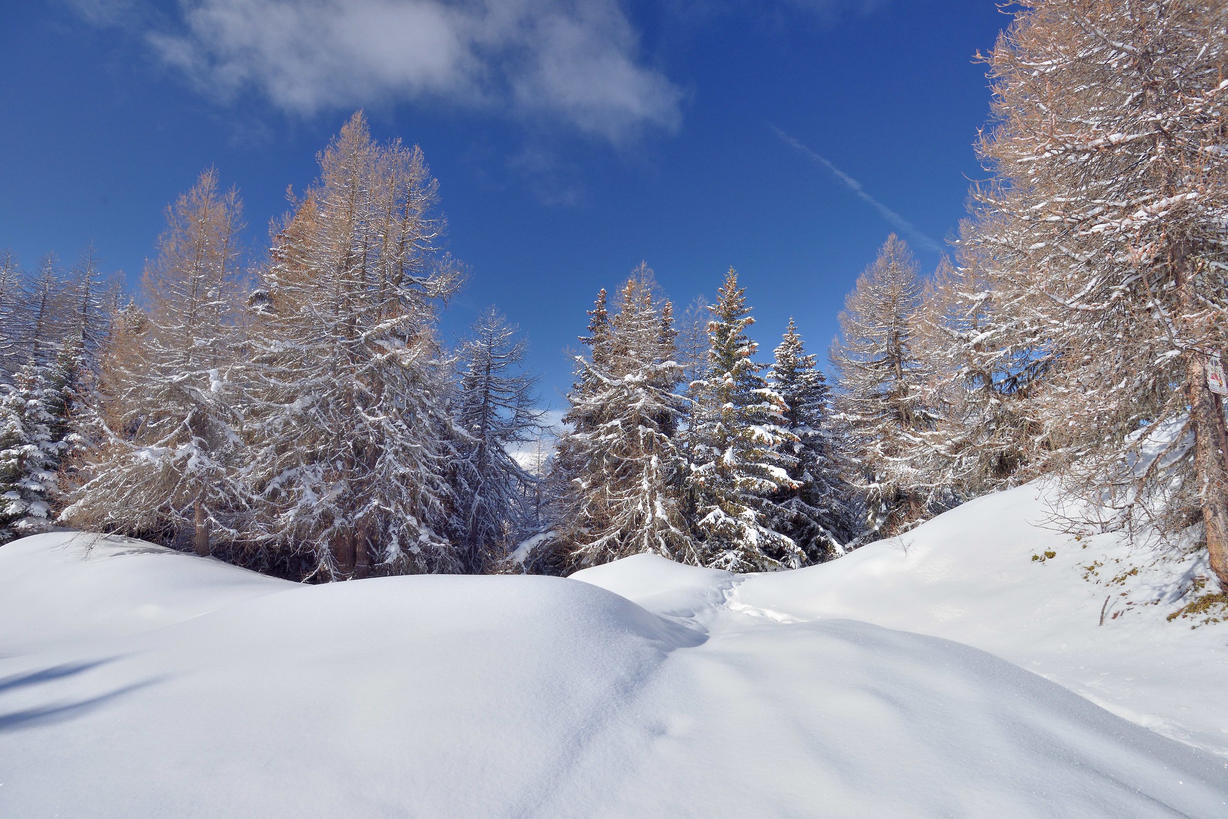 Tracked Challancin-Court de Bard