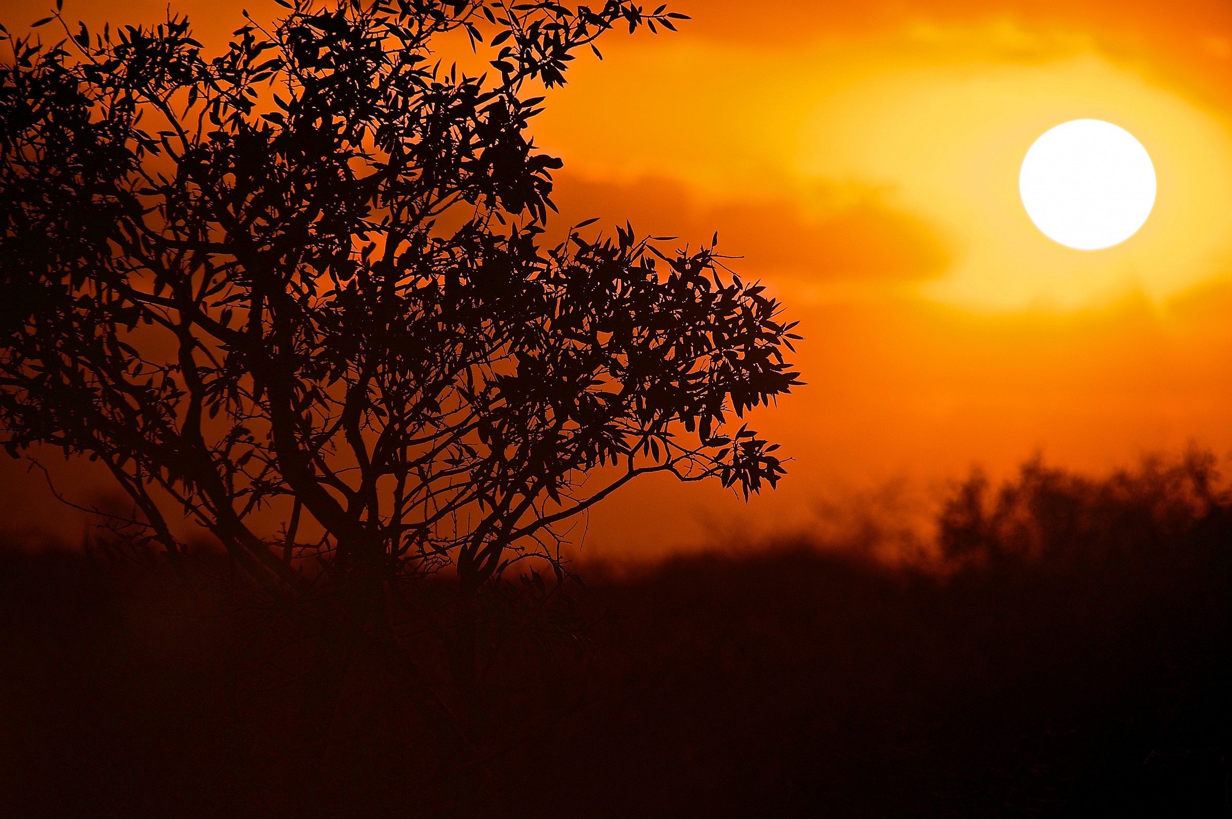 tramonto allo tsavo est