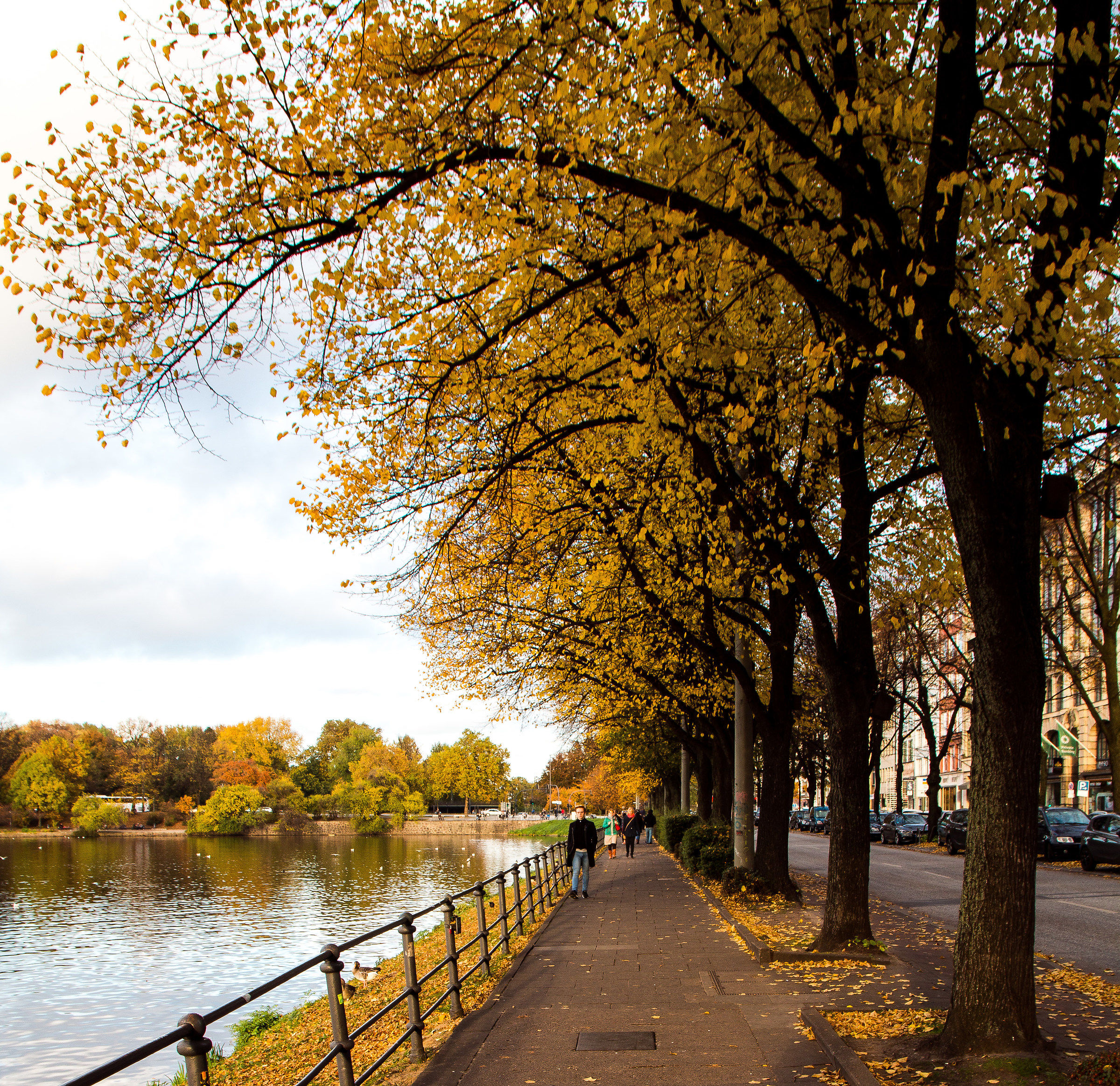 Autumn in that of Hamburg