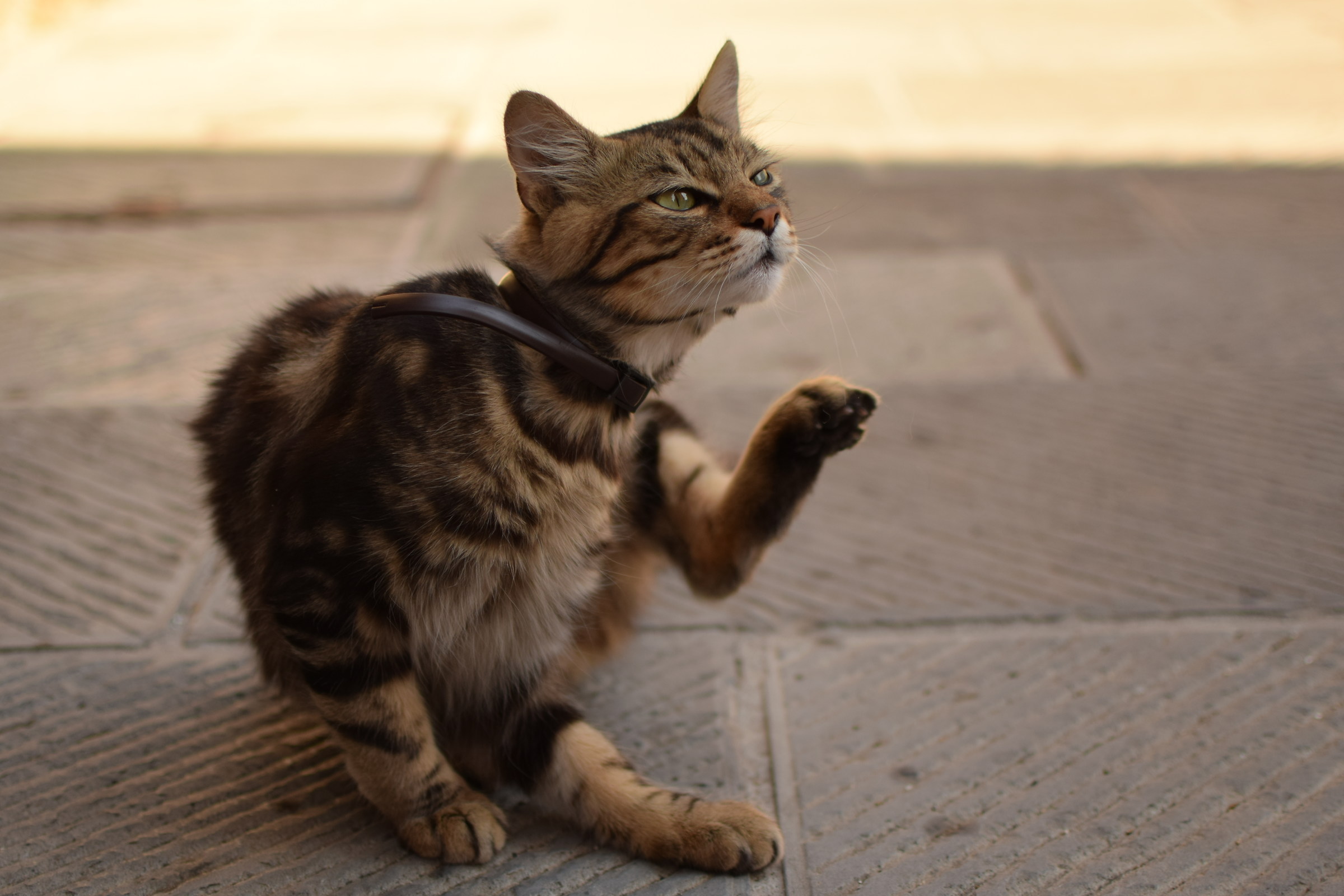 Are fading, problems?