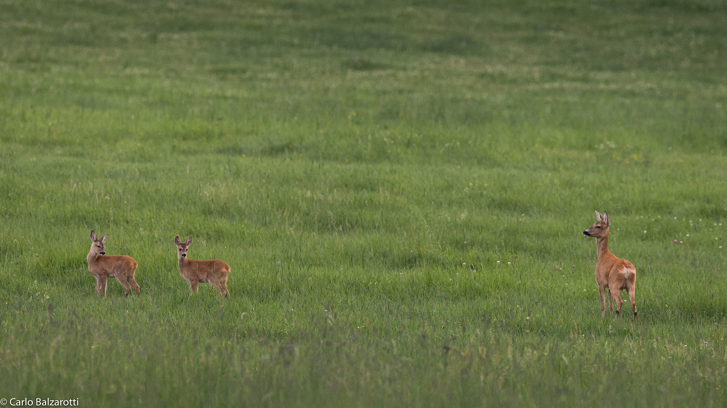 Sotto il controllo materno