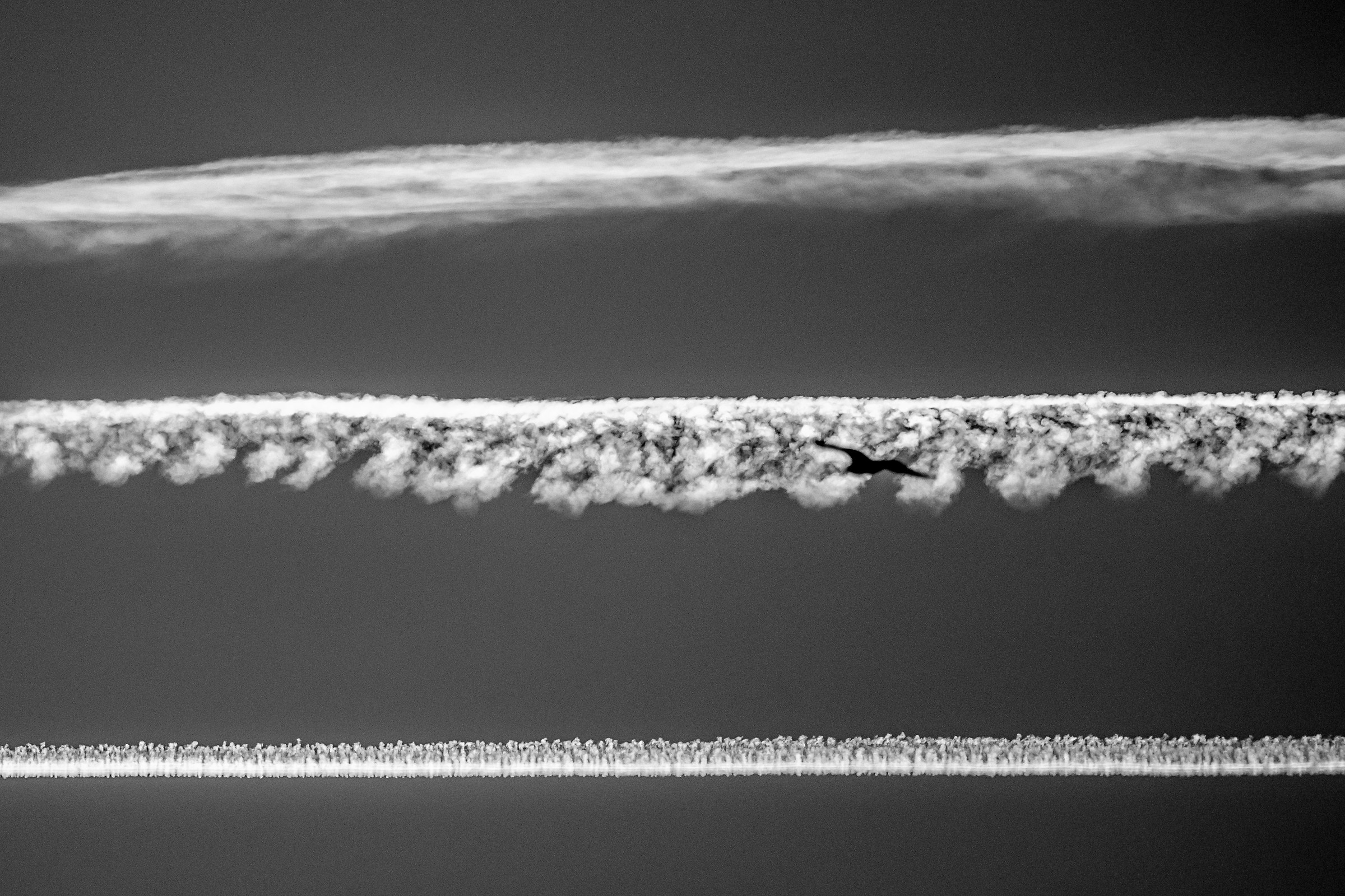 Flight Into The Central Zone