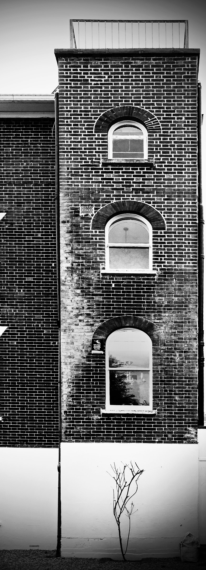 The Haunted (& Very Tall) House