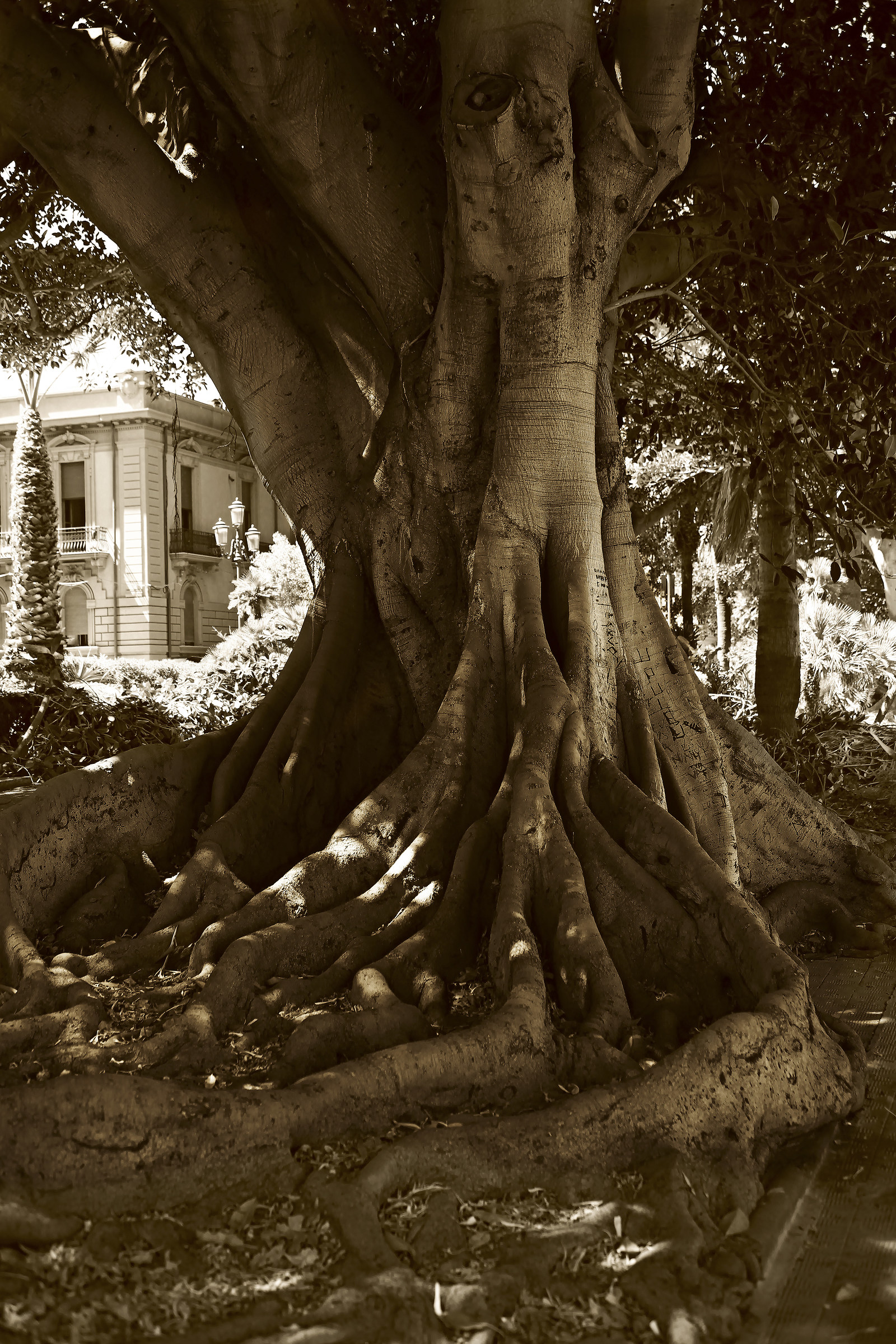 Reggio Calabria seafront promenade.