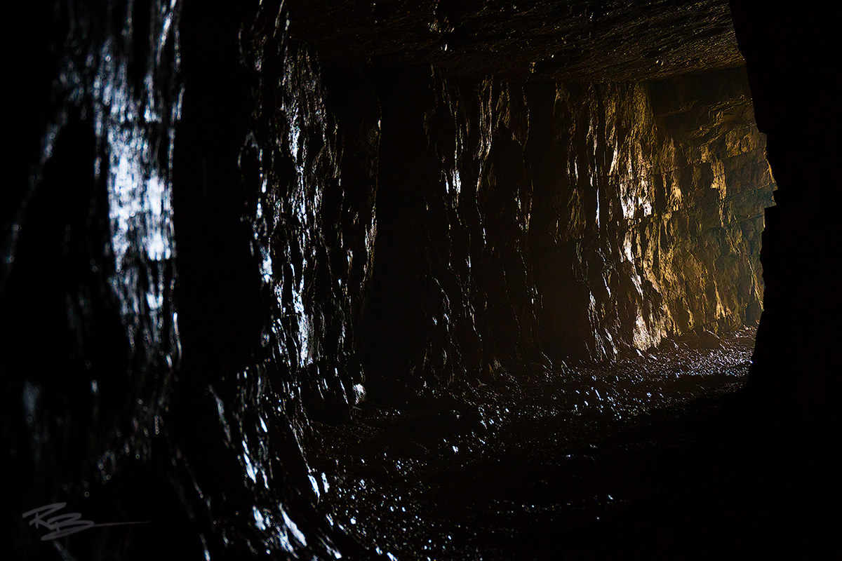 In the darkest tunnel it's nice to see a light