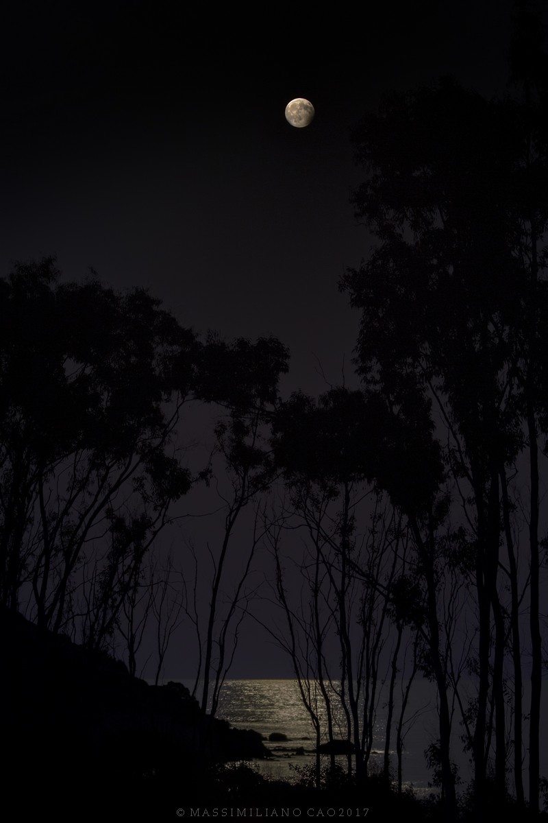 Gli ultimi attimi della parziale eclissi lunare