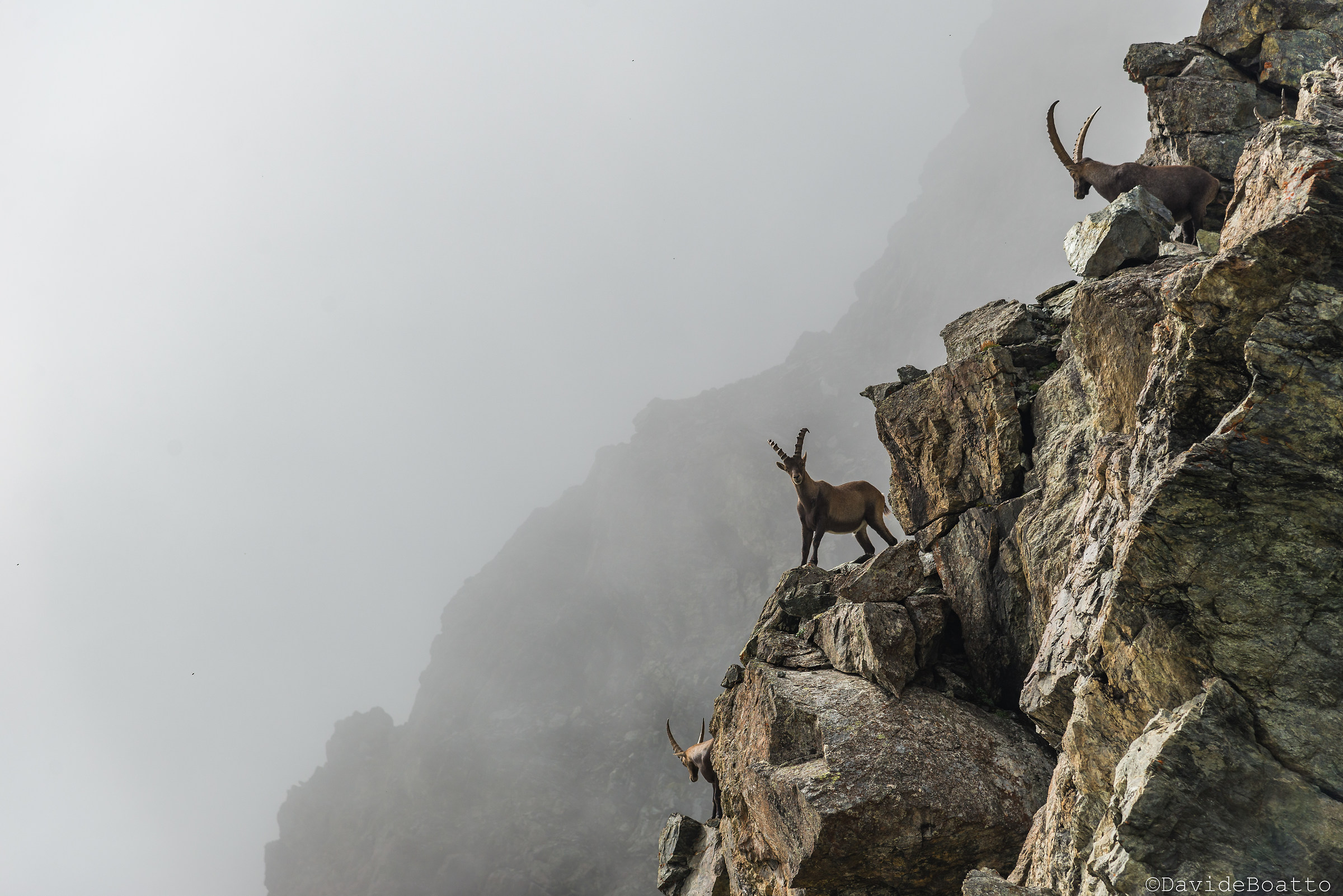 Compagni di avventure