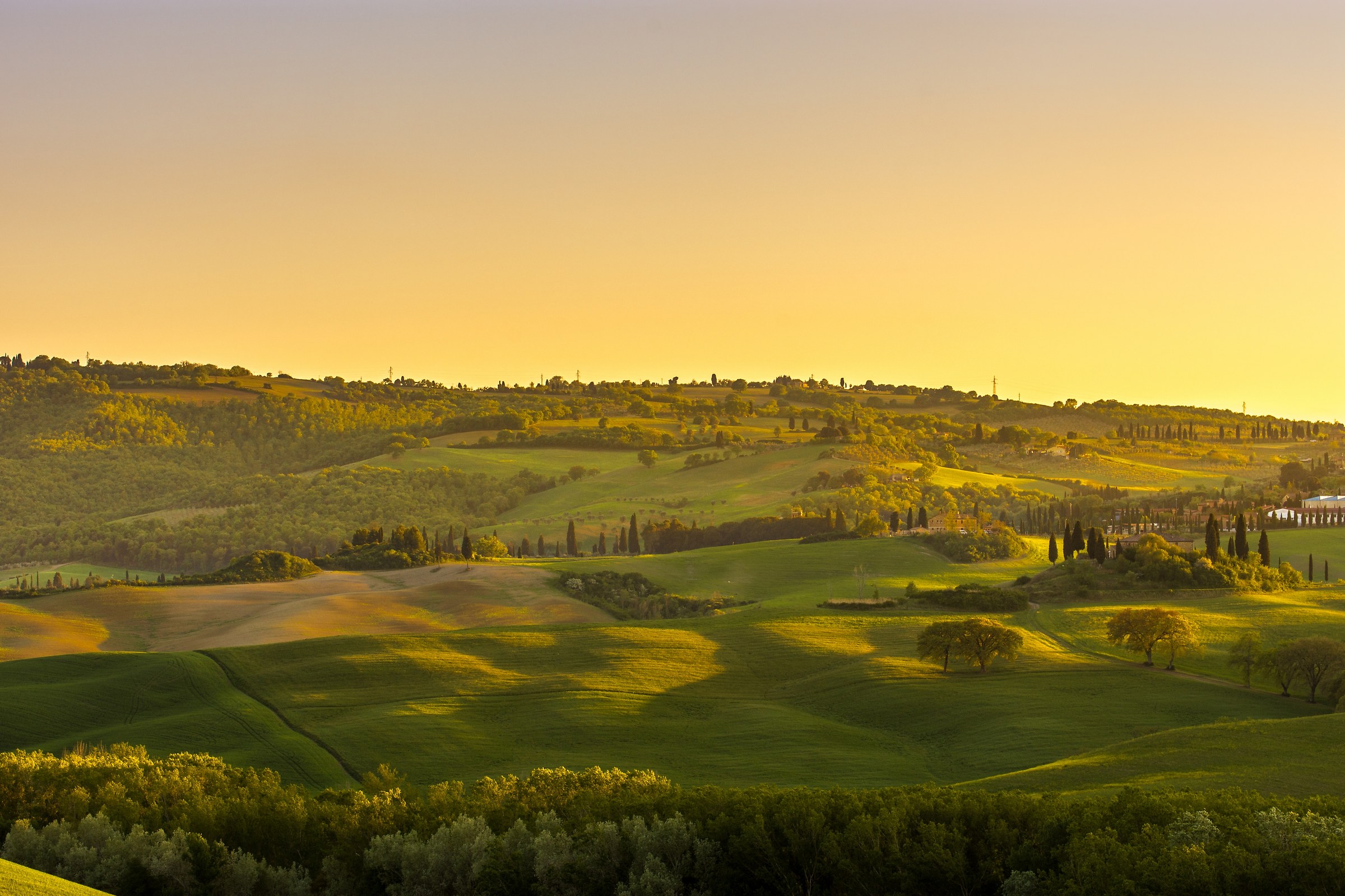 Sunshine wave at sunset