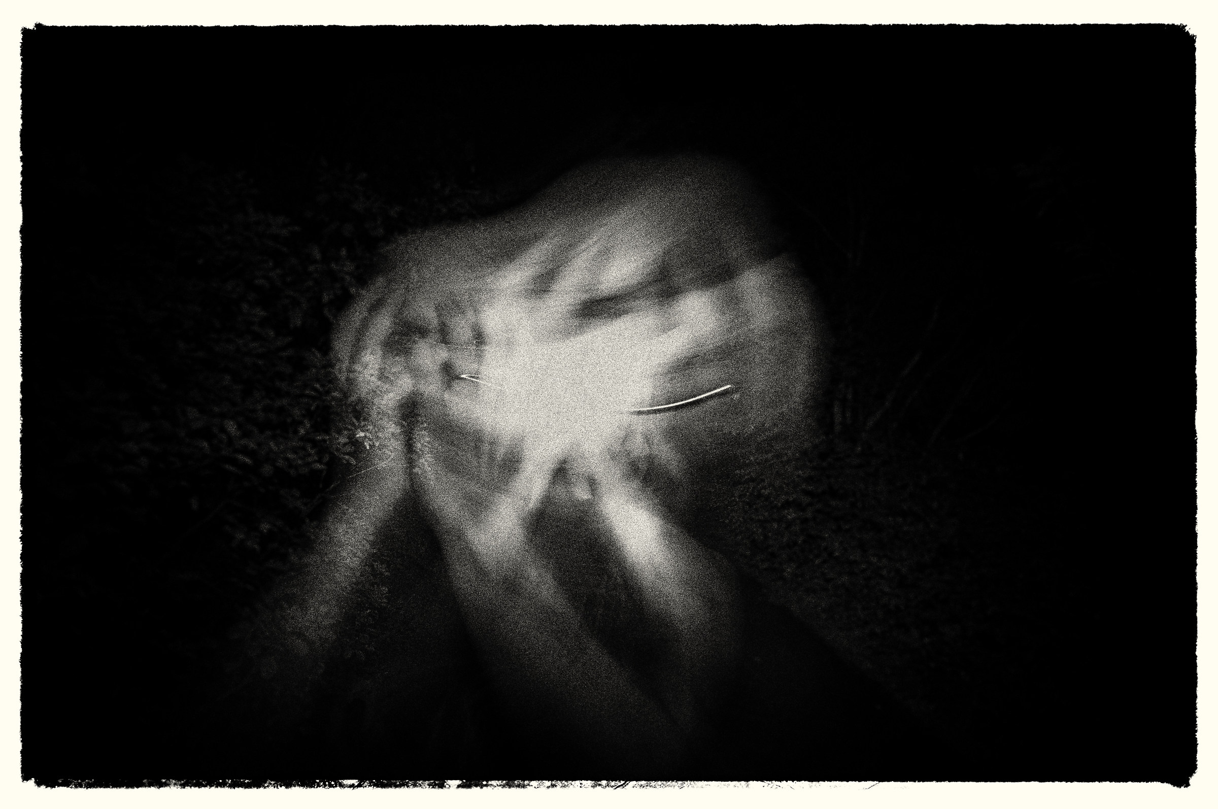 Yell (b / n version)