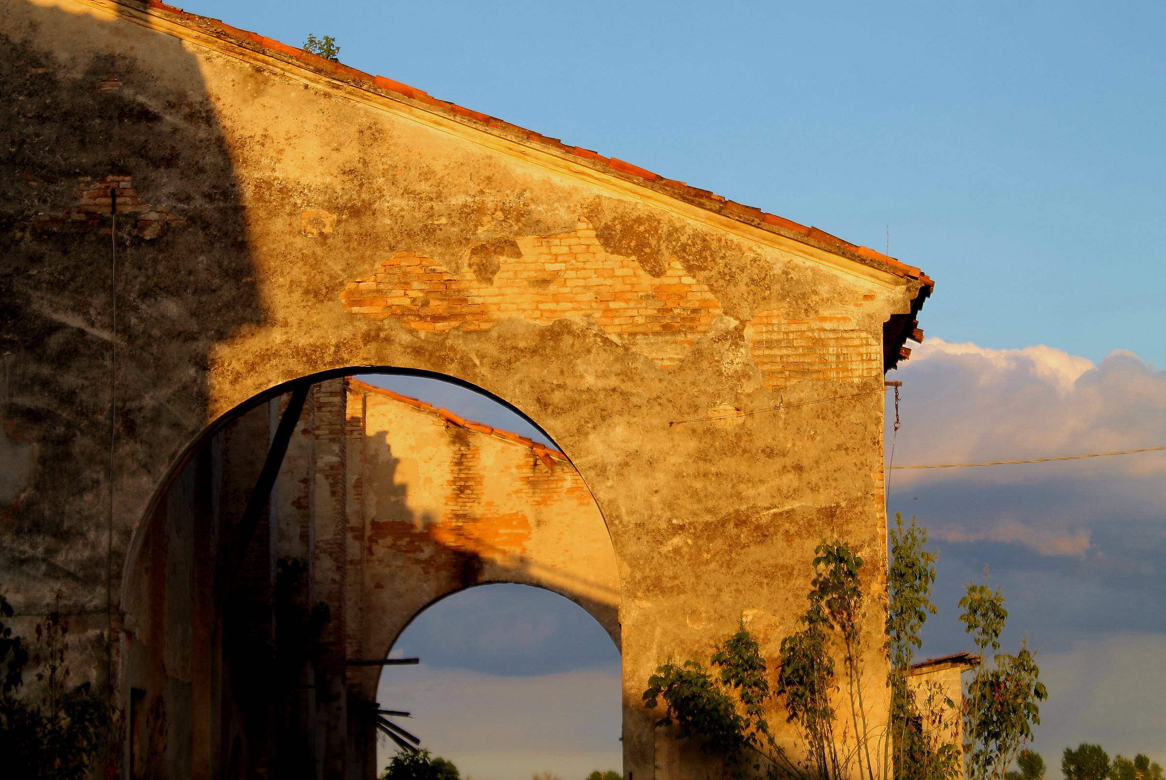 Archi immersi nell'oro