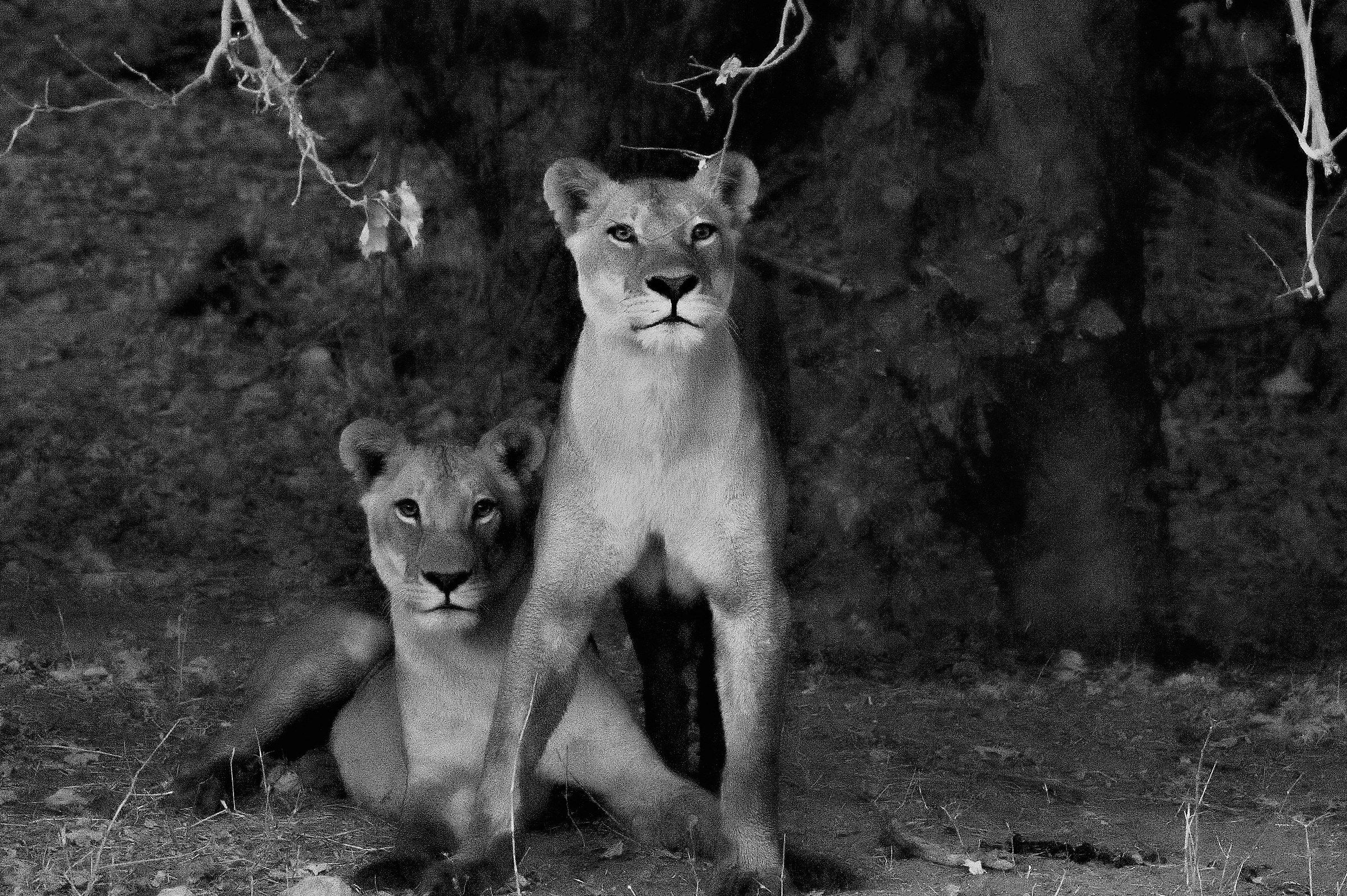 Family portrait in an exterior