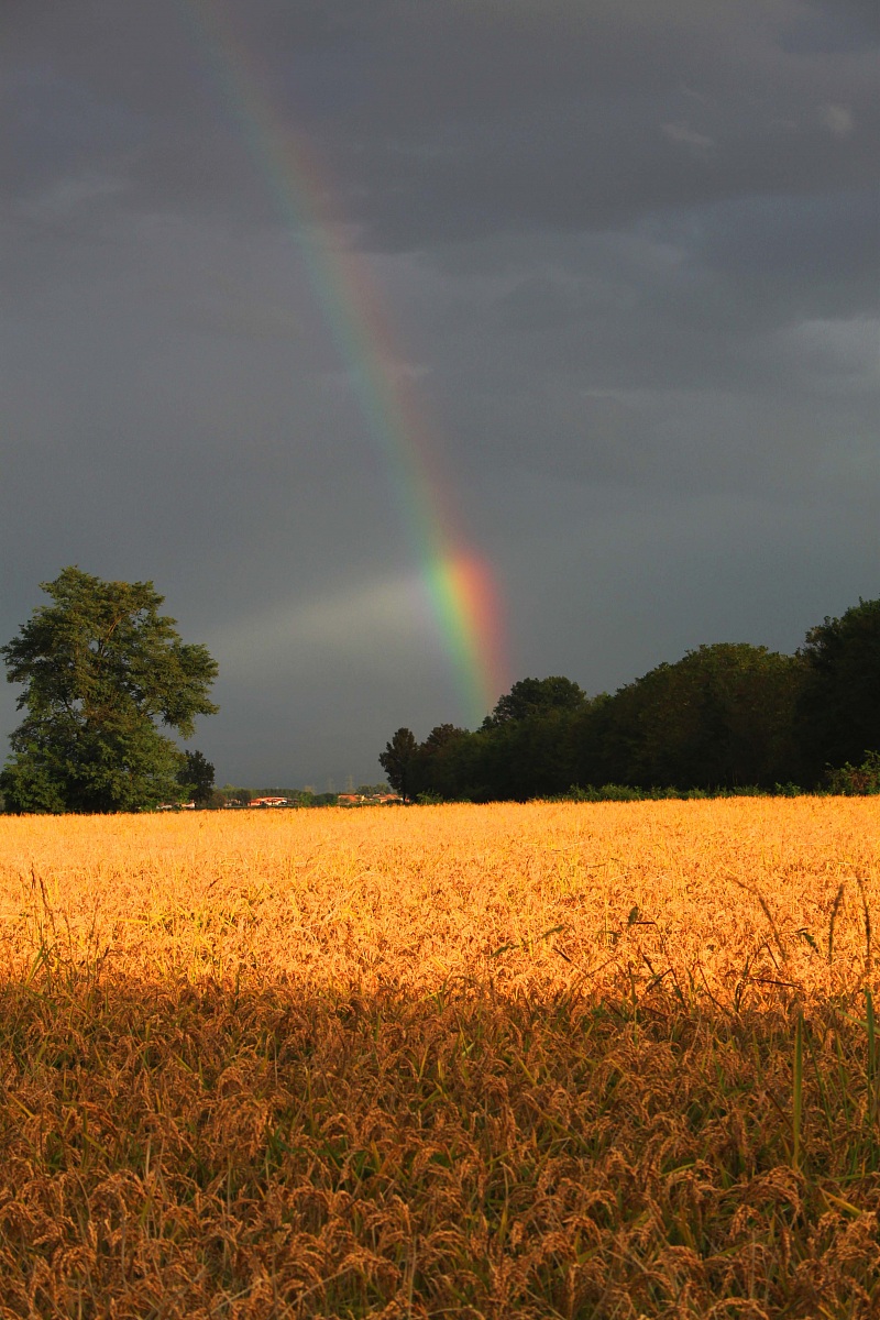 arcobaleno
