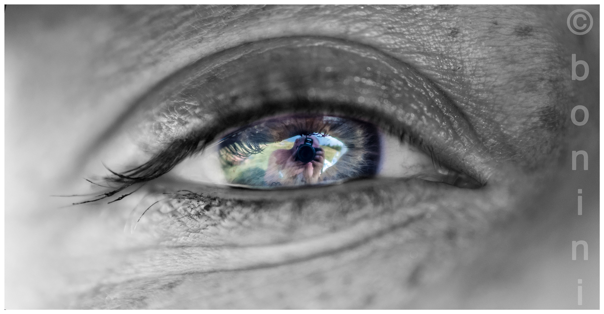 The eye and the photographer