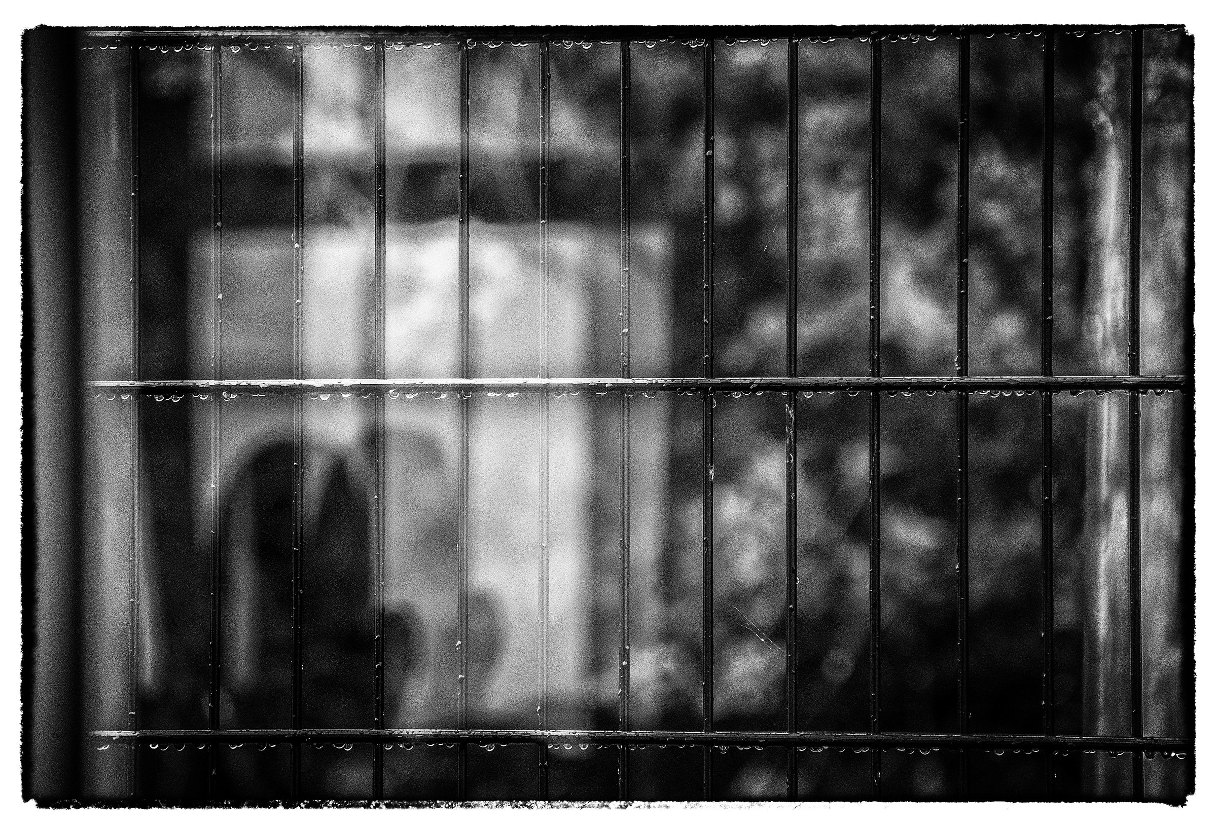 Trapped Behind The Tears