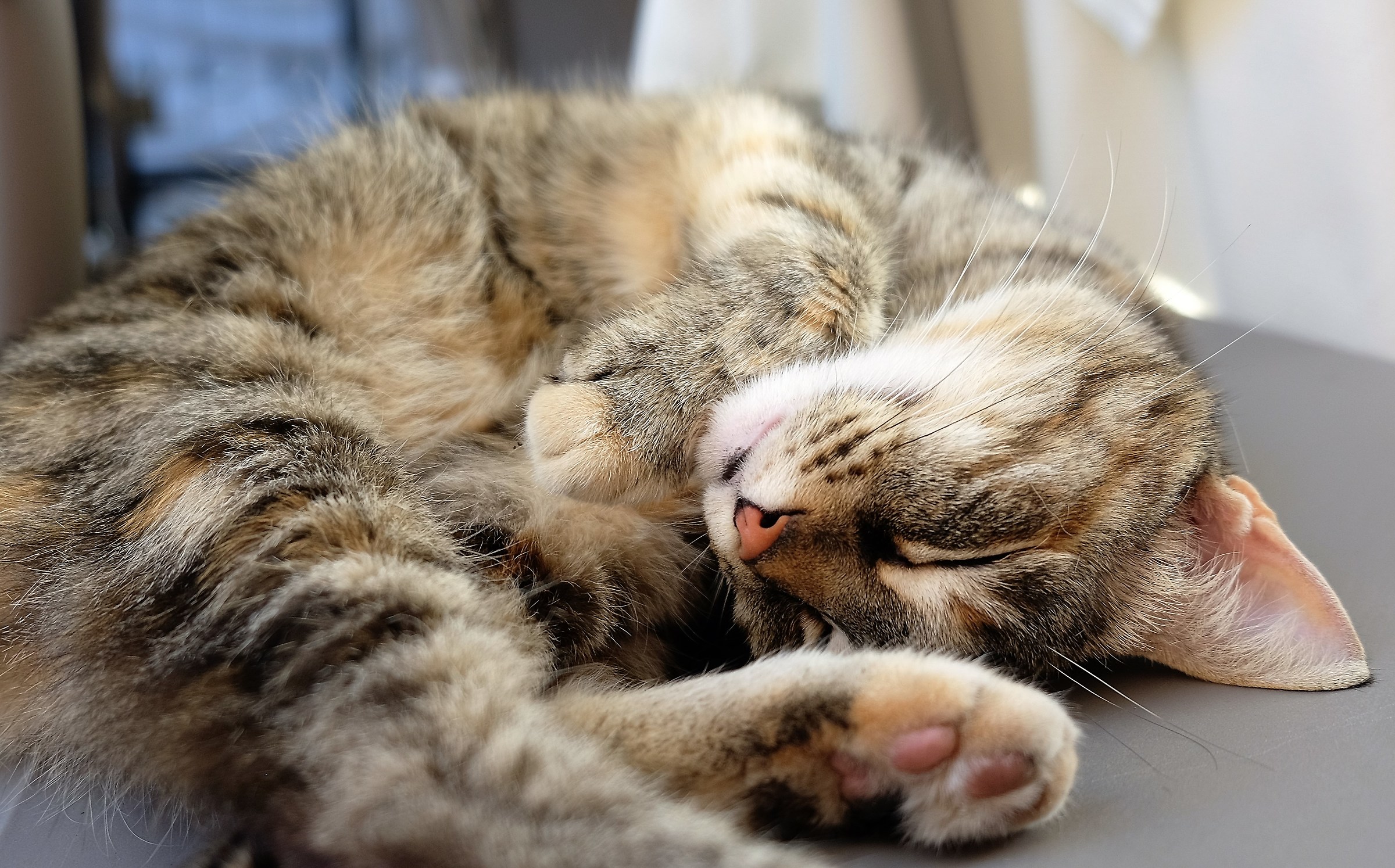 Elbe islands the sleep of the righteous