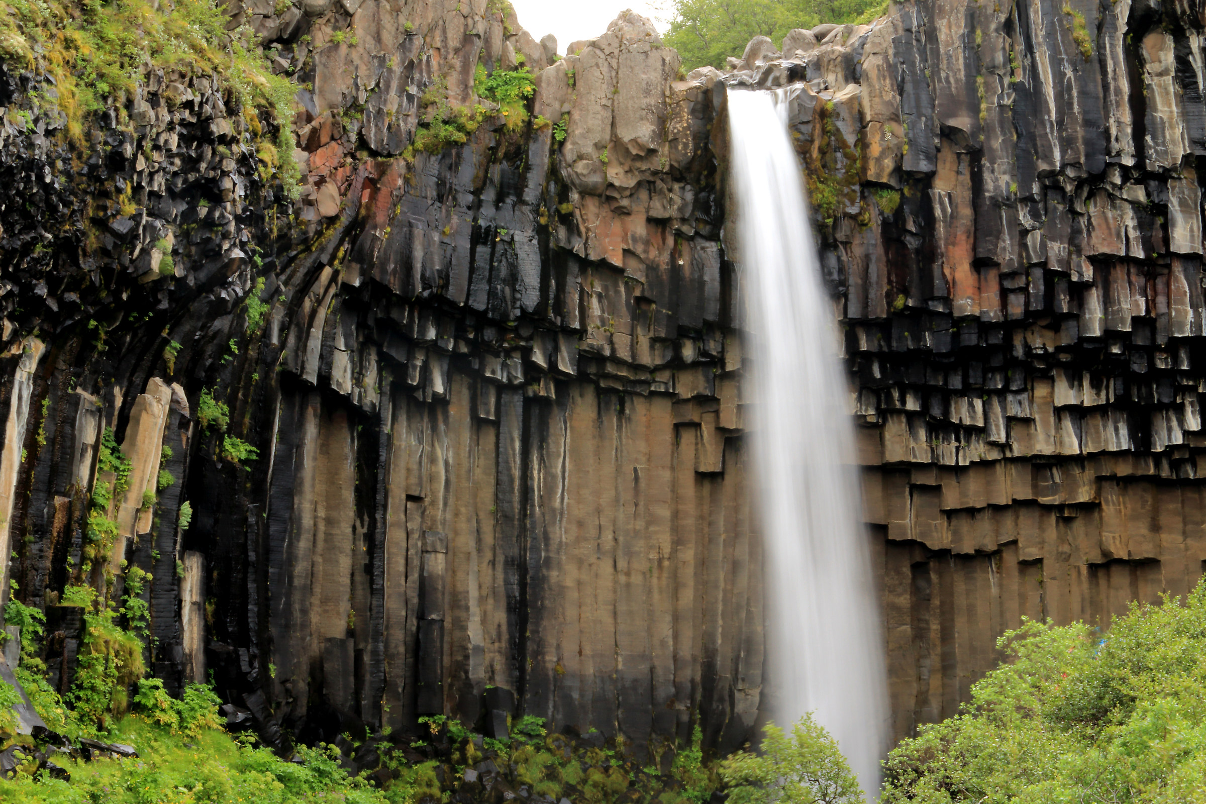 Svartifoss (Skaftafell)