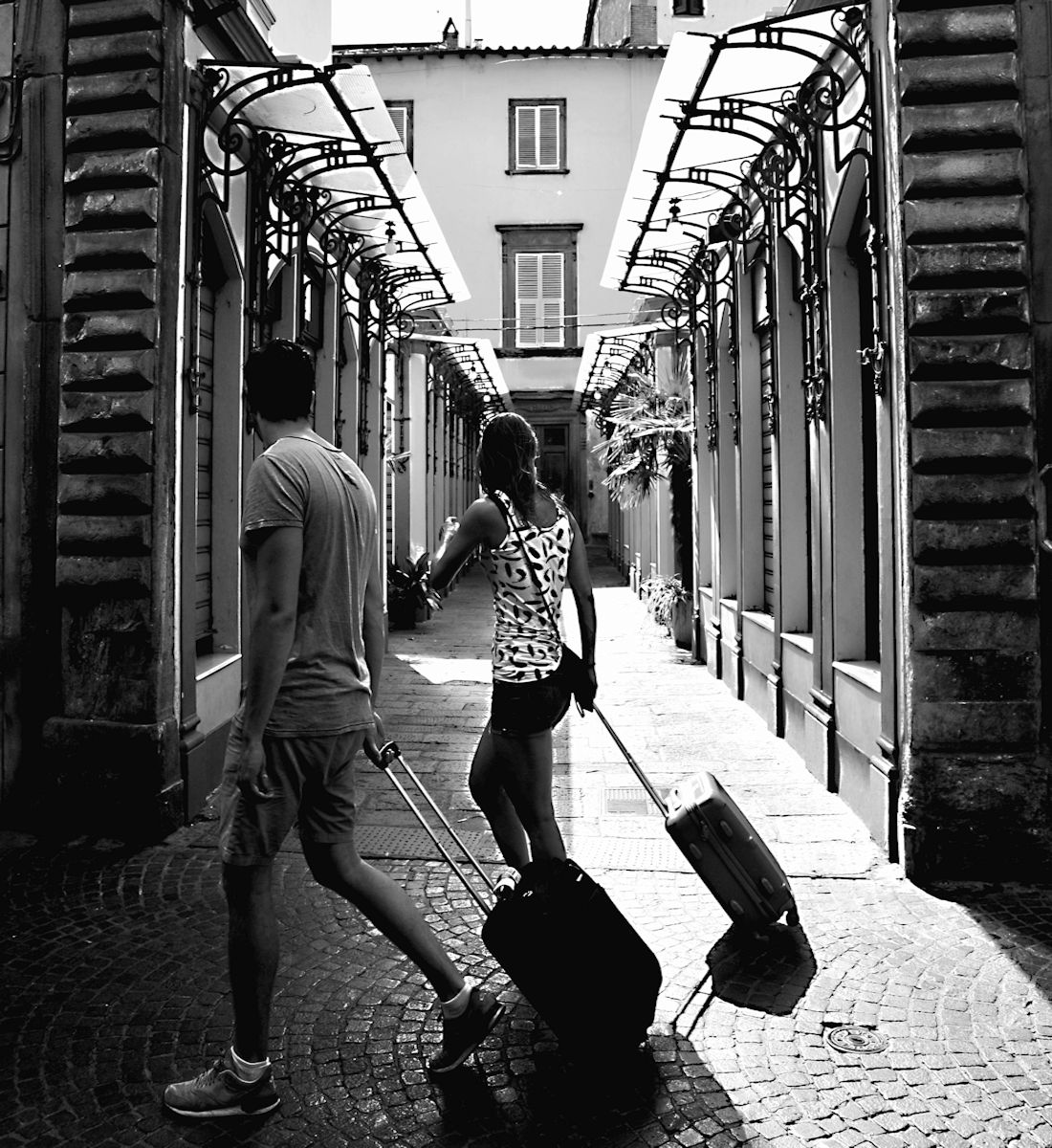 Piccioncini Viaggiatori...