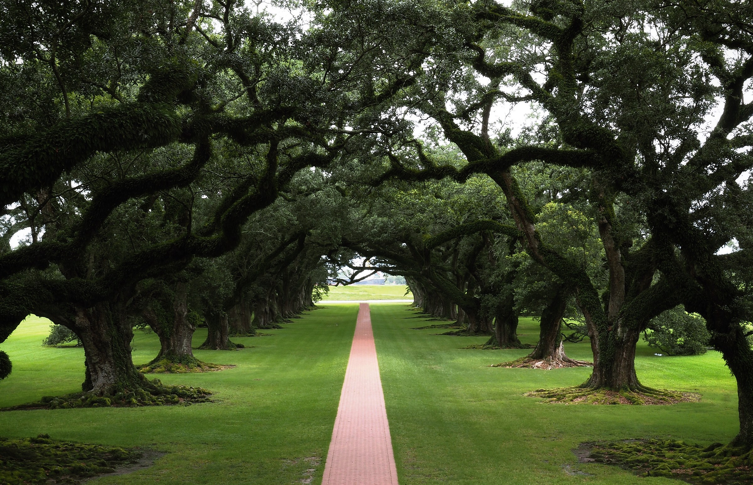 Oak Alley Plantation - Louisiana
