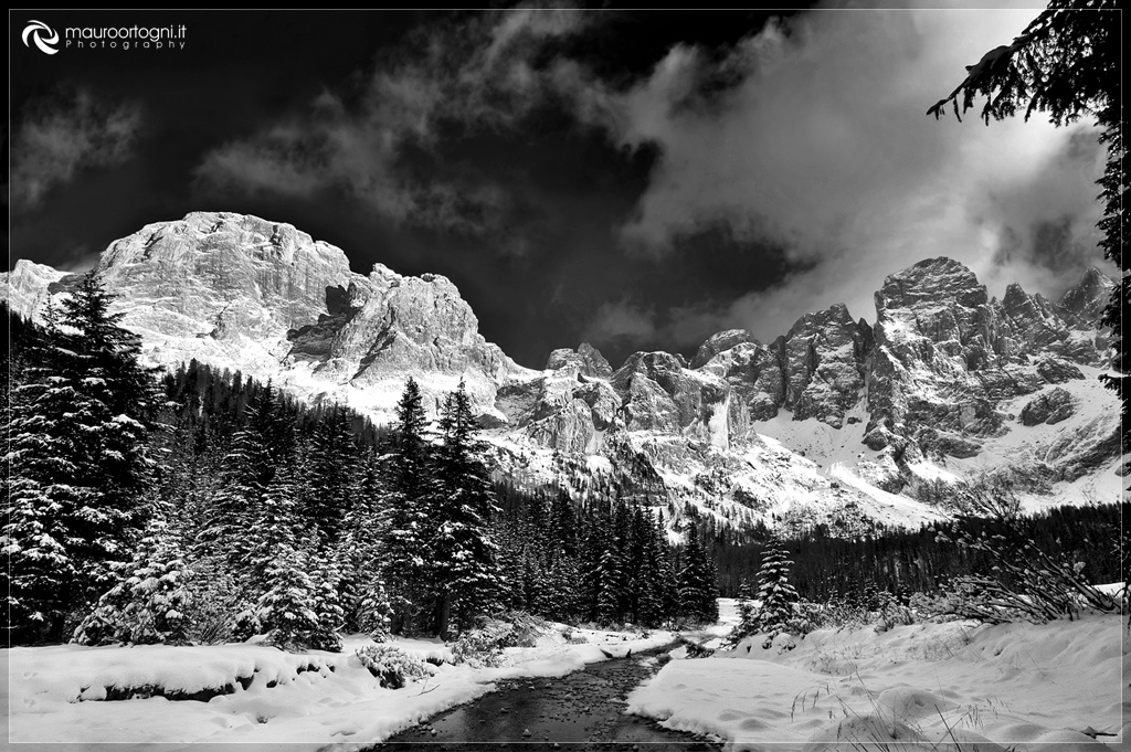 Val venegia monocrome
