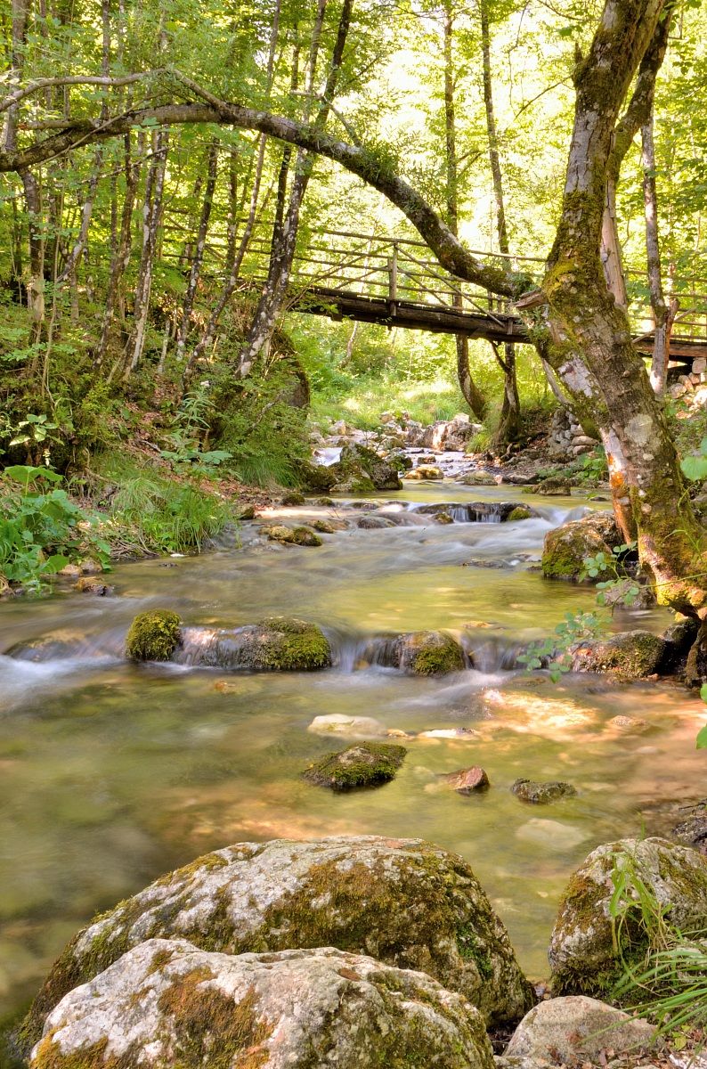 ponte e ruscello