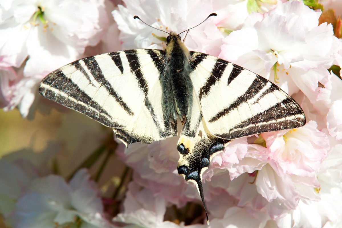 10 seconds before his death